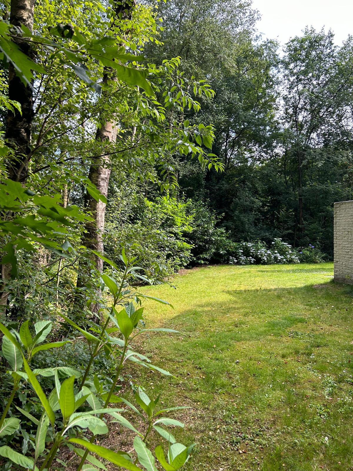 Casa nella natura a Geesbrug