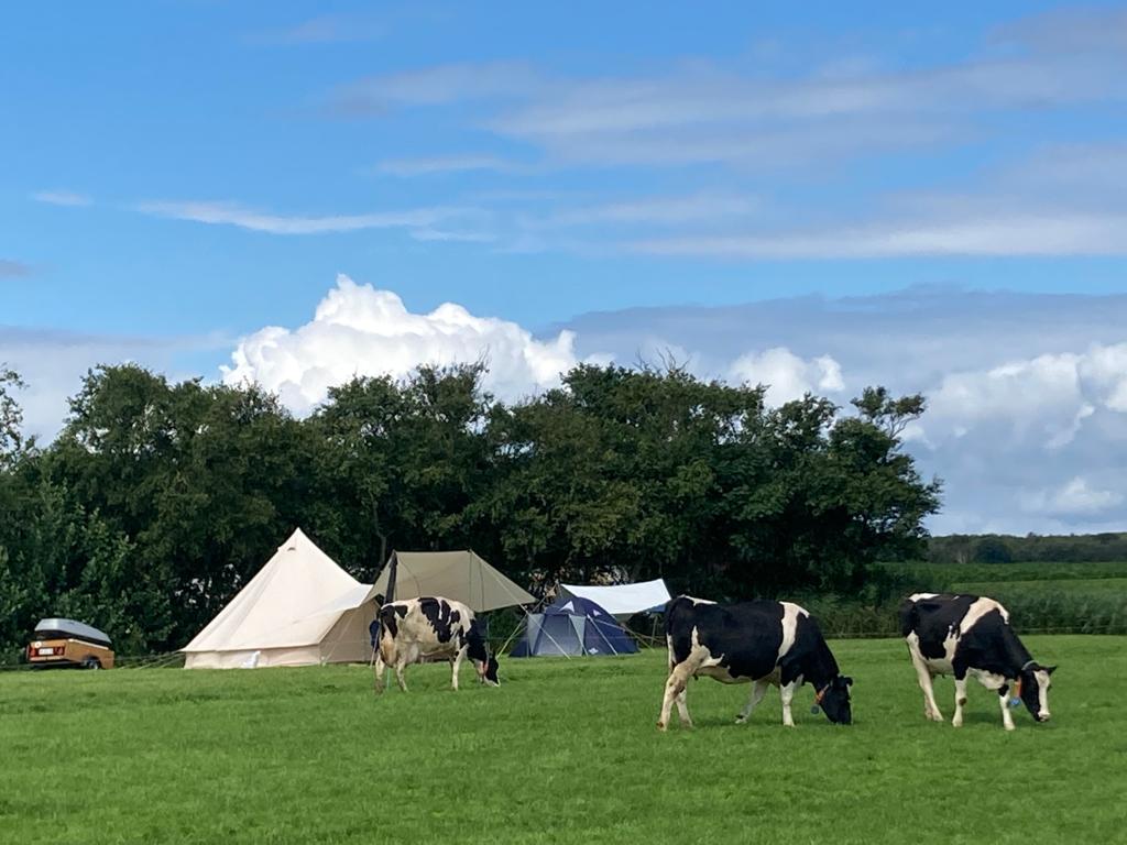 Natuurhuisje in Schiermonnikoog