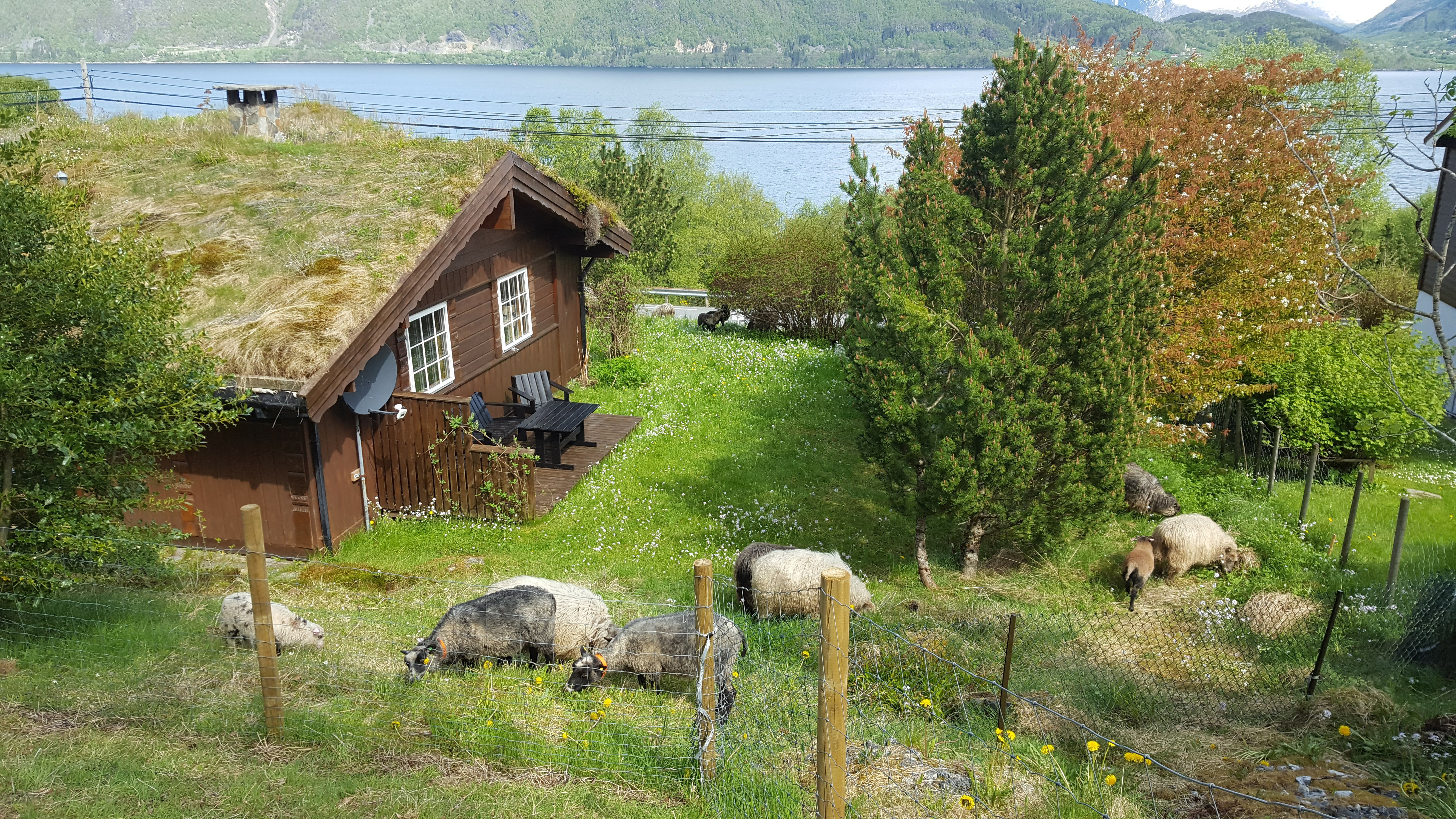 Maison nature à Lauvstad