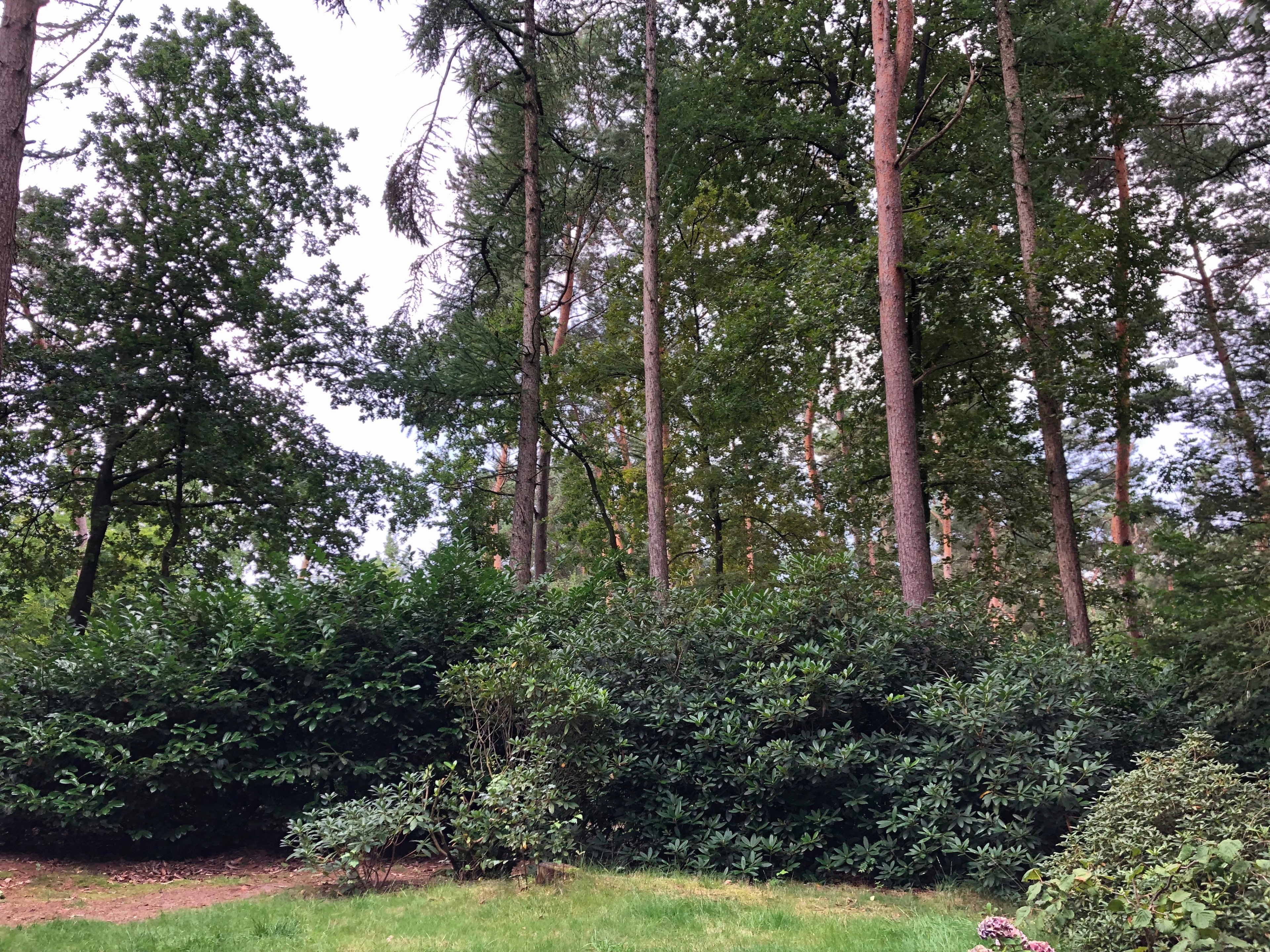 Naturhäuschen in Eersel