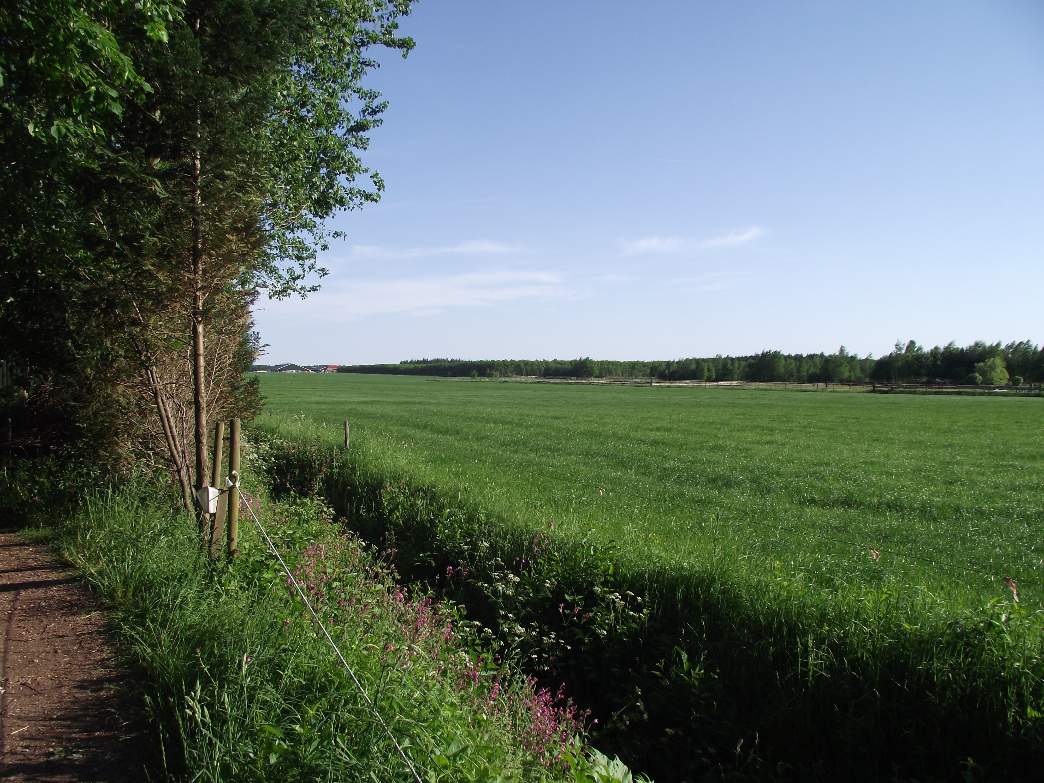 - image: 13