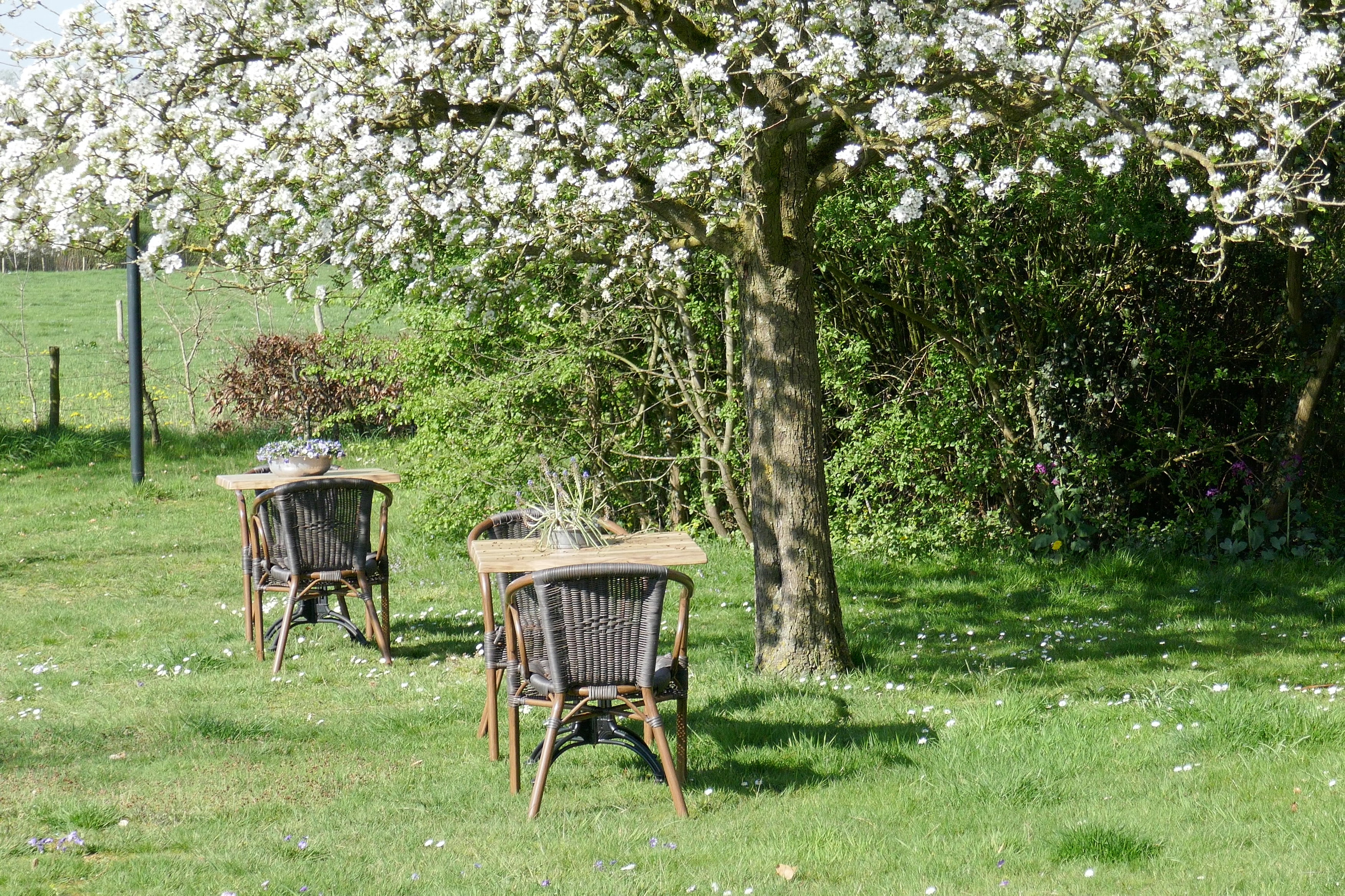 Natuurhuisje in Warnsveld