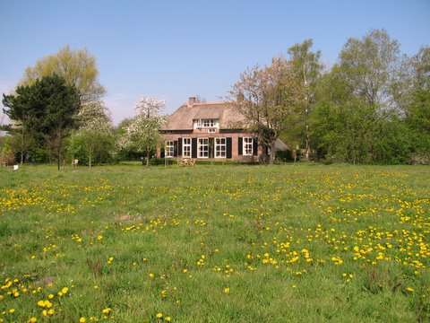 Natuurhuisje in Warnsveld