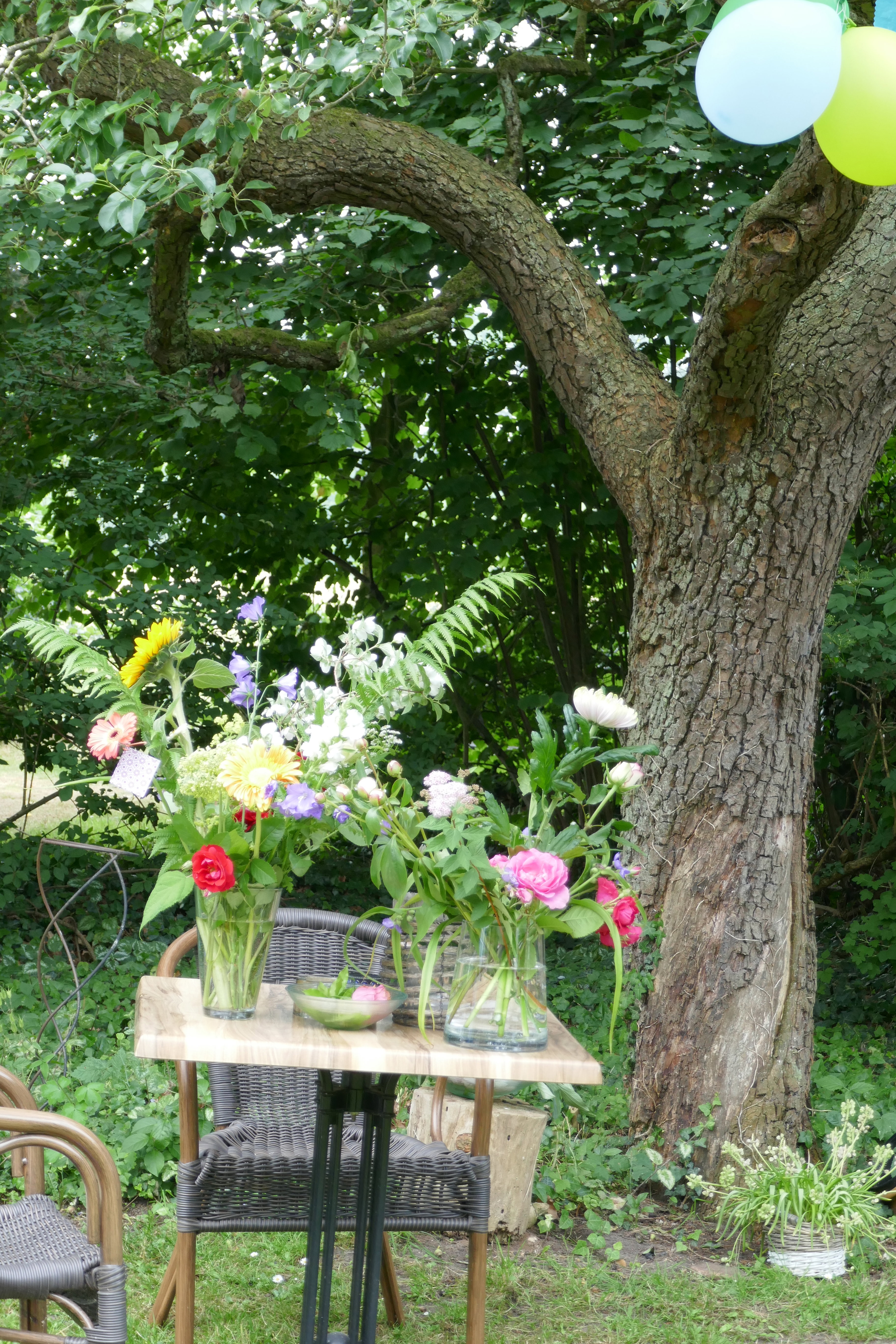 Natuurhuisje in Warnsveld