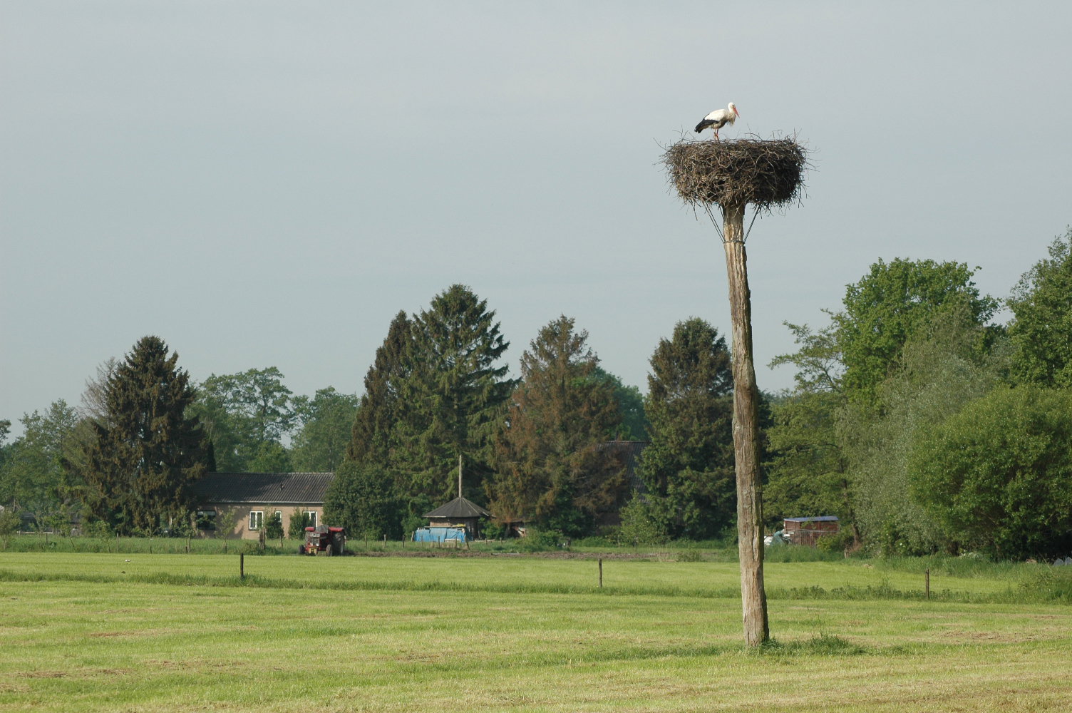 - image: 15