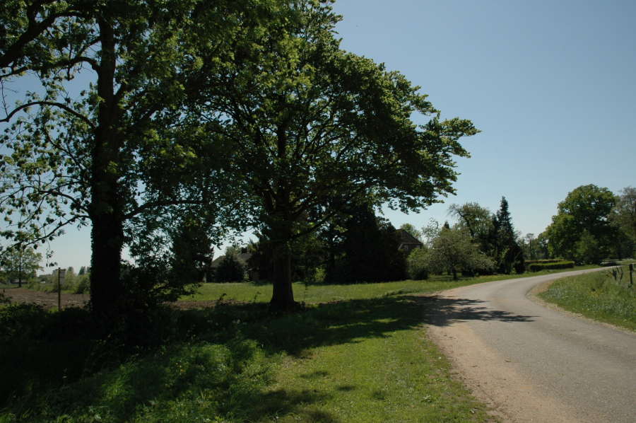 - image: 13