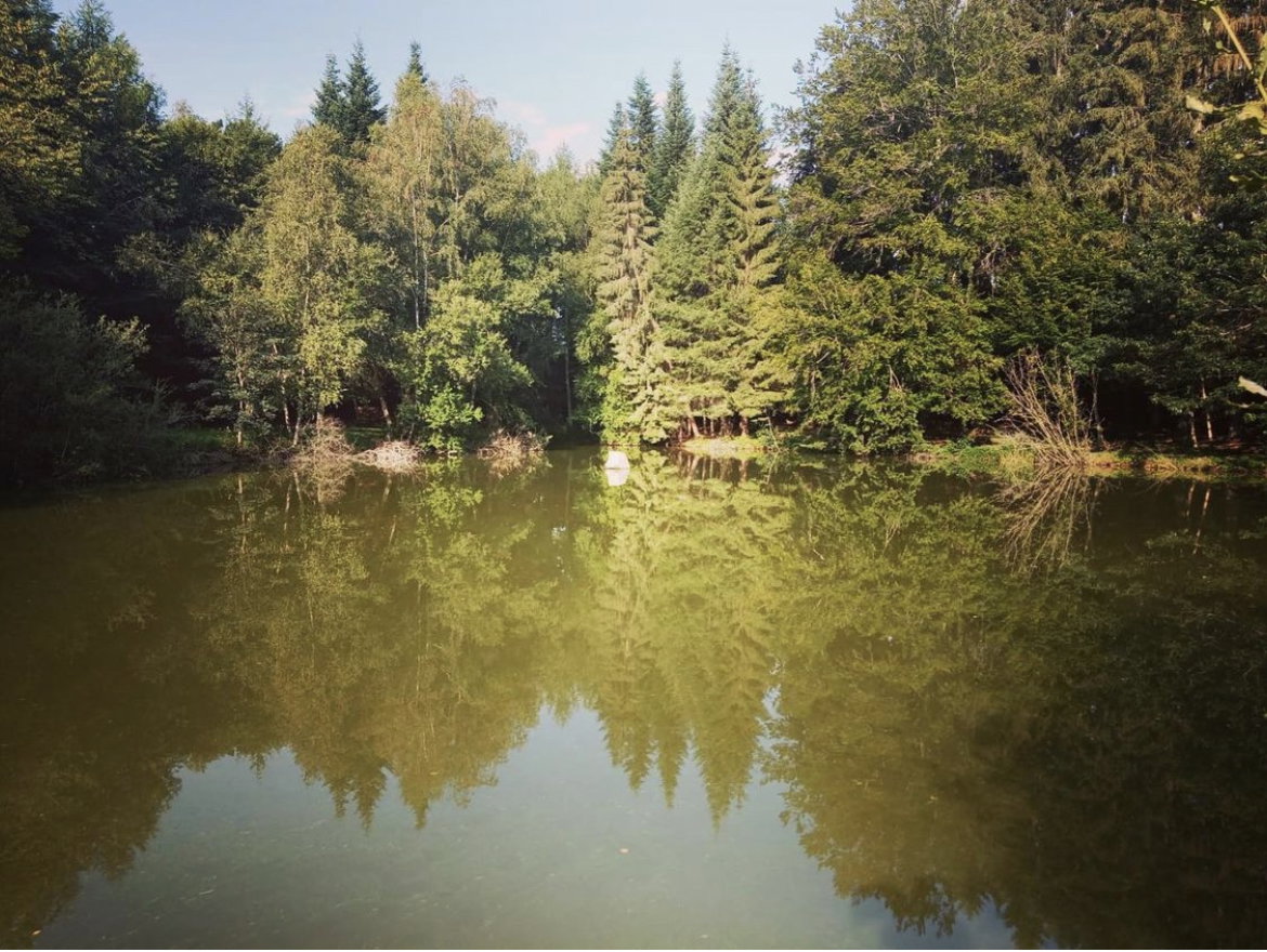 - image: 24