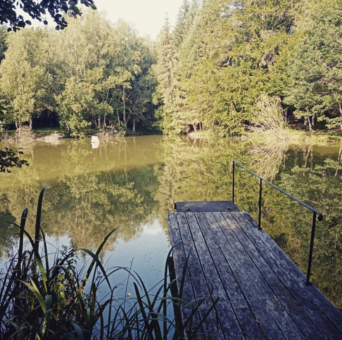 - image: 23