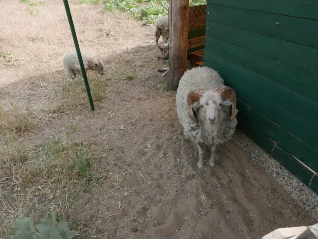 Naturhäuschen in Gennep