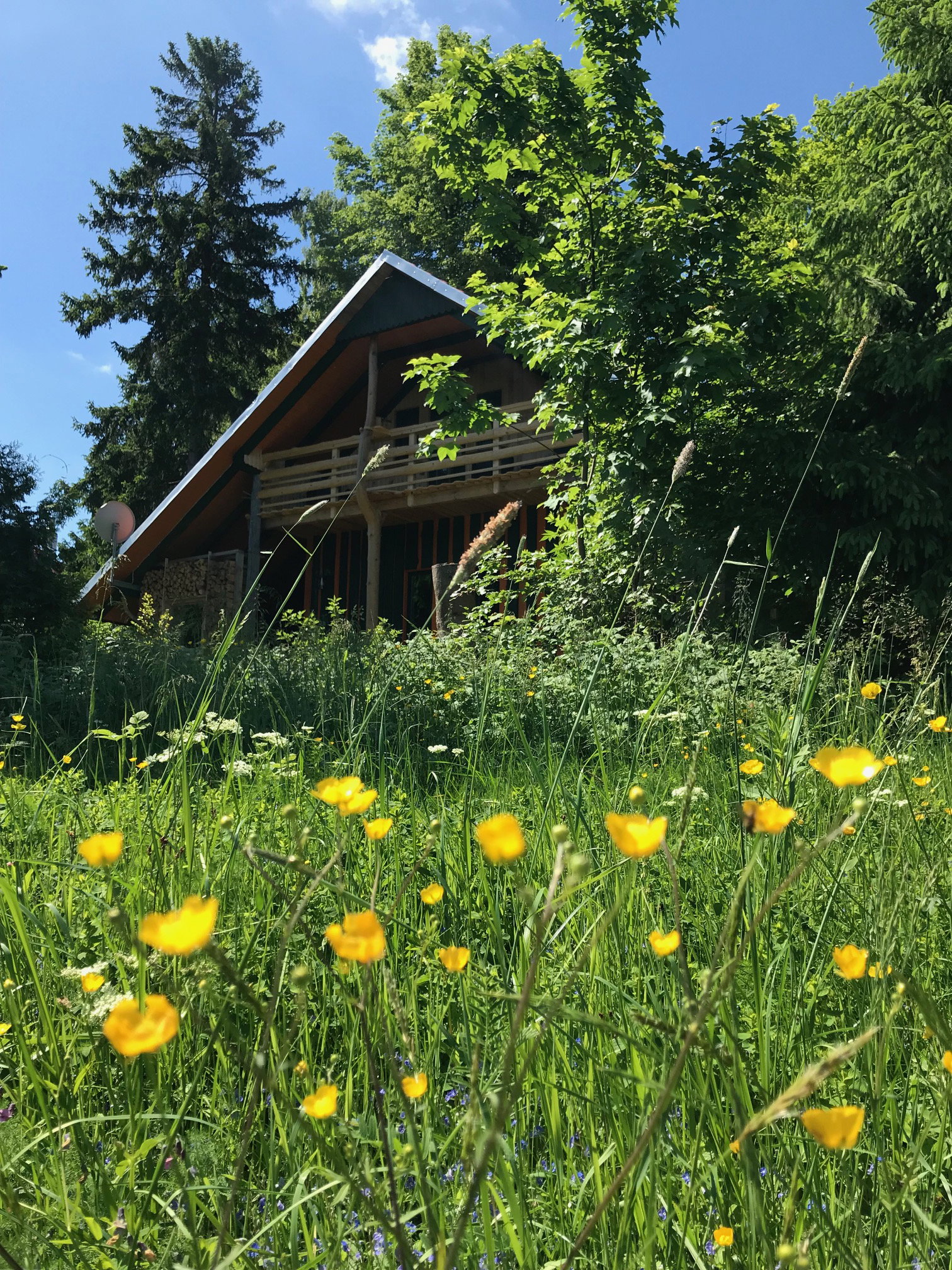 Naturhäuschen in Suhl OT Gehlberg