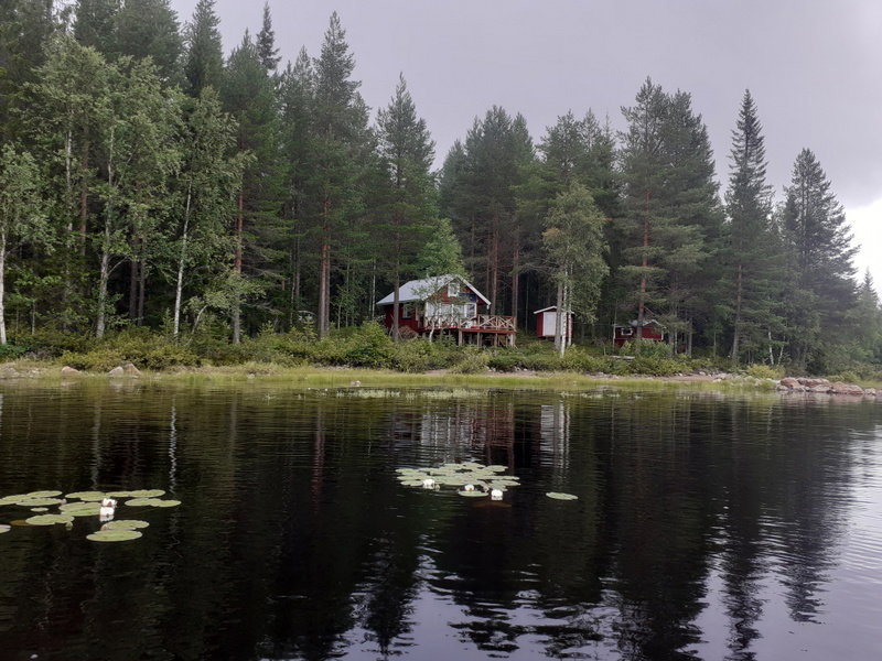 - image: 19