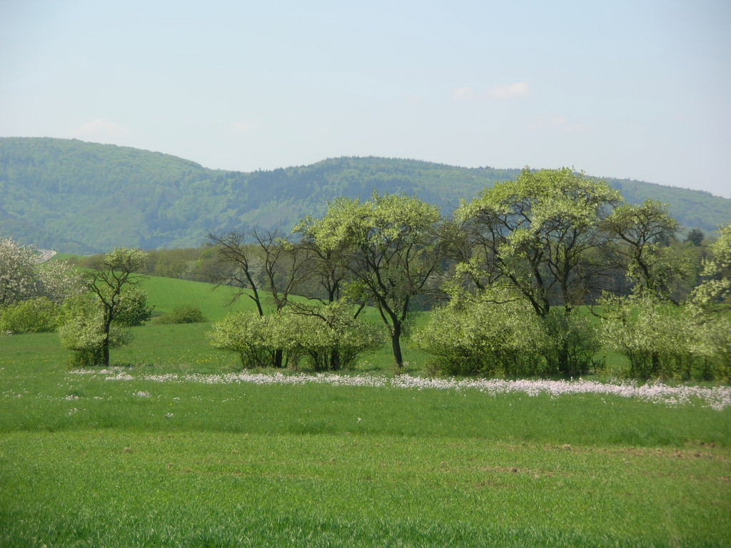 - image: 21
