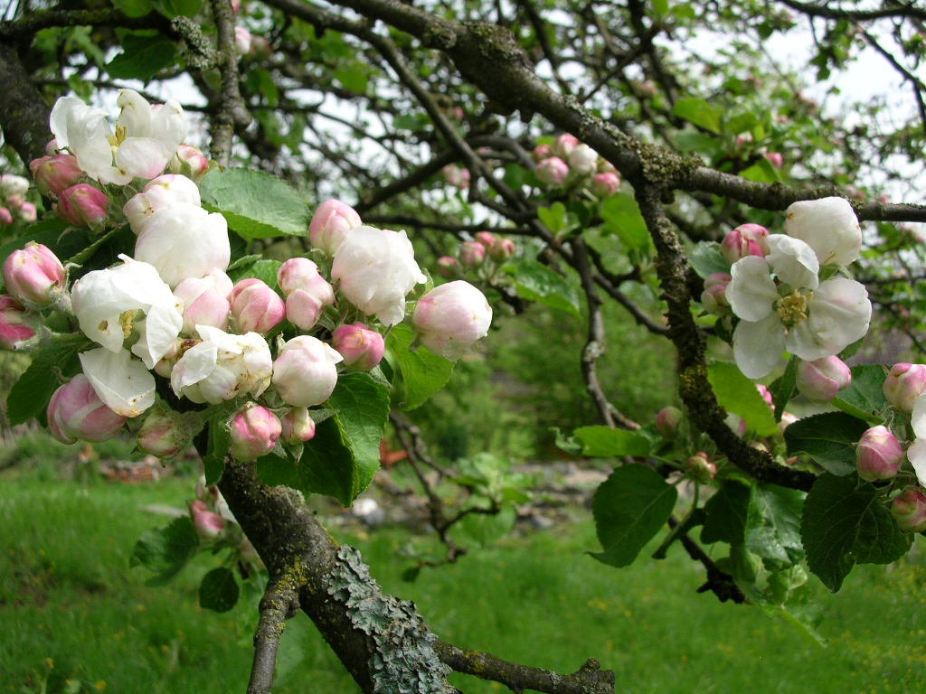 Natuurhuisje in Relsberg