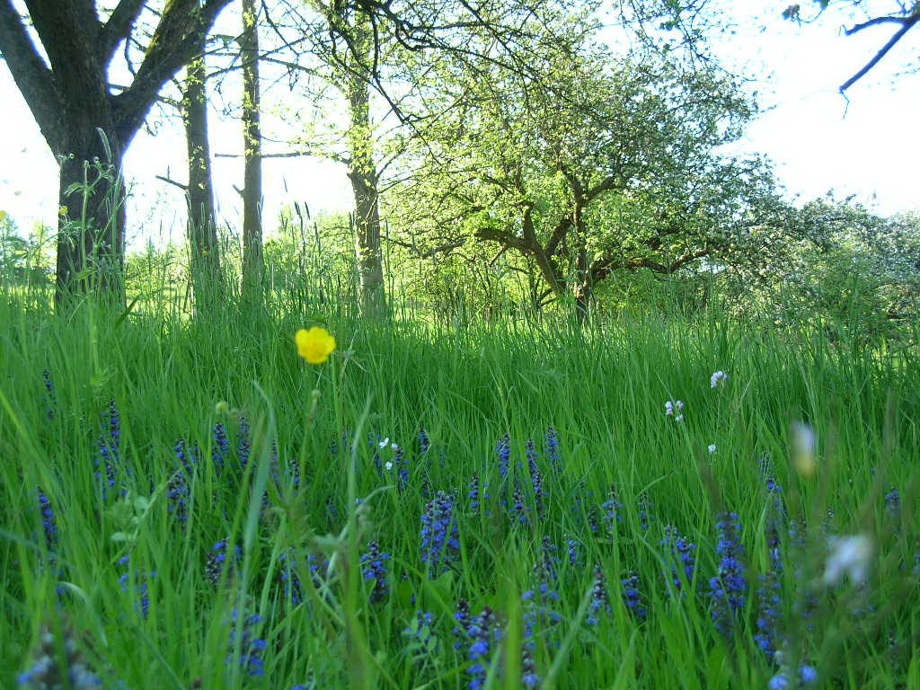 Natuurhuisje in Relsberg