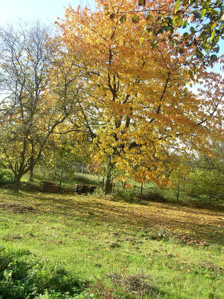 - image: 26