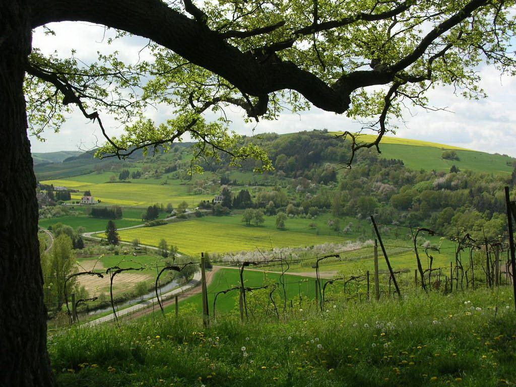 - image: 27