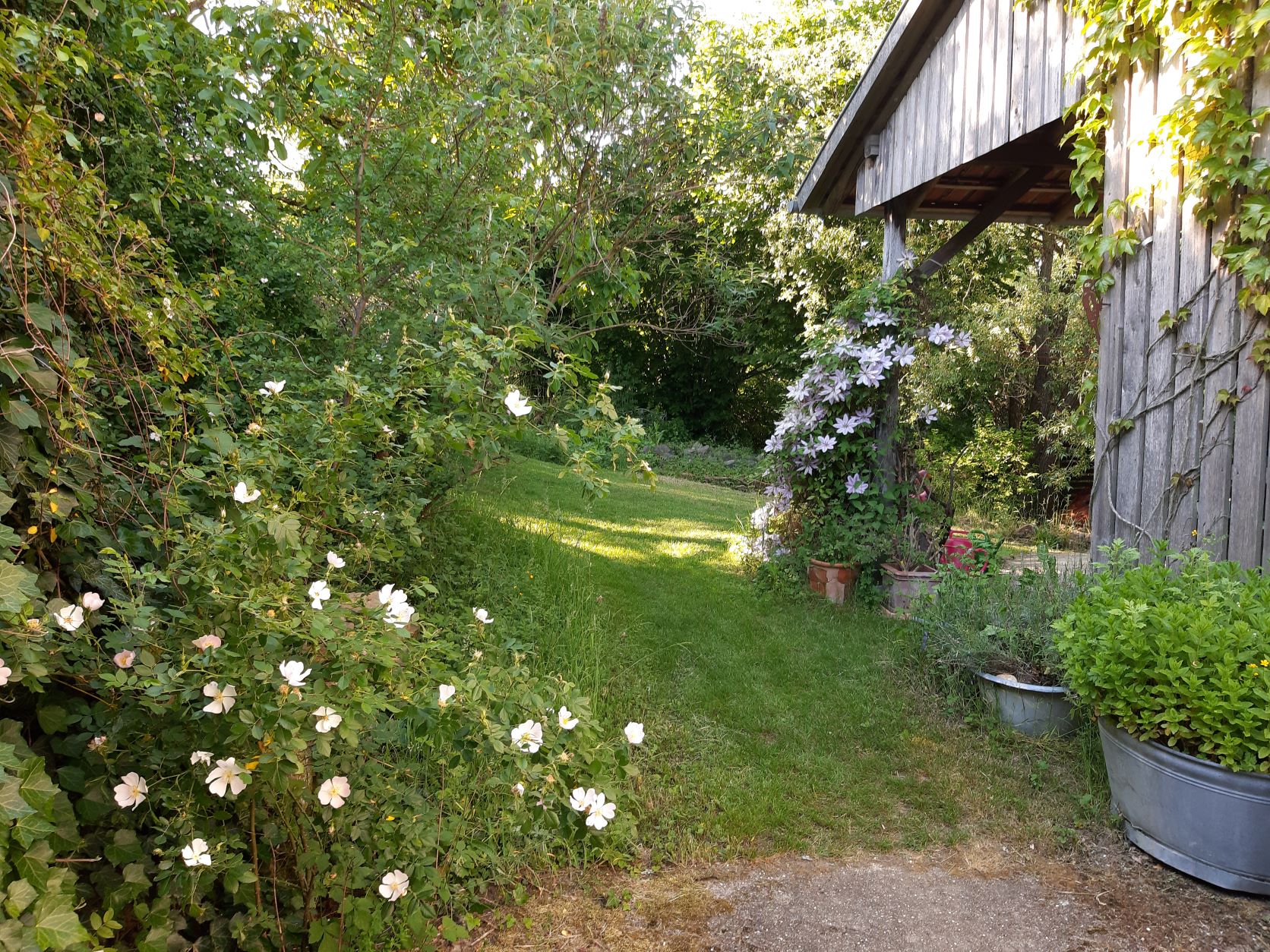 Natuurhuisje in Relsberg