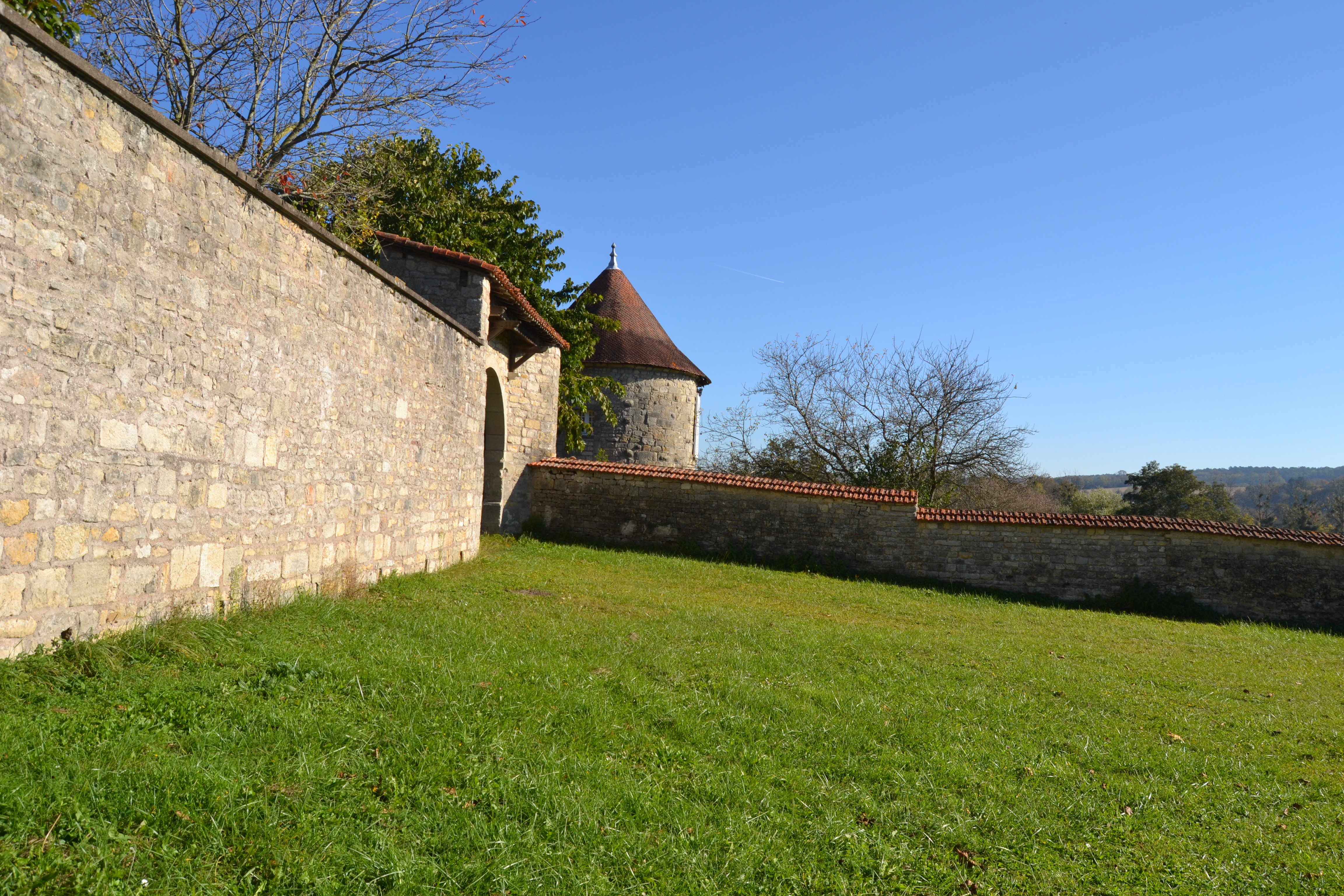 - image: 11