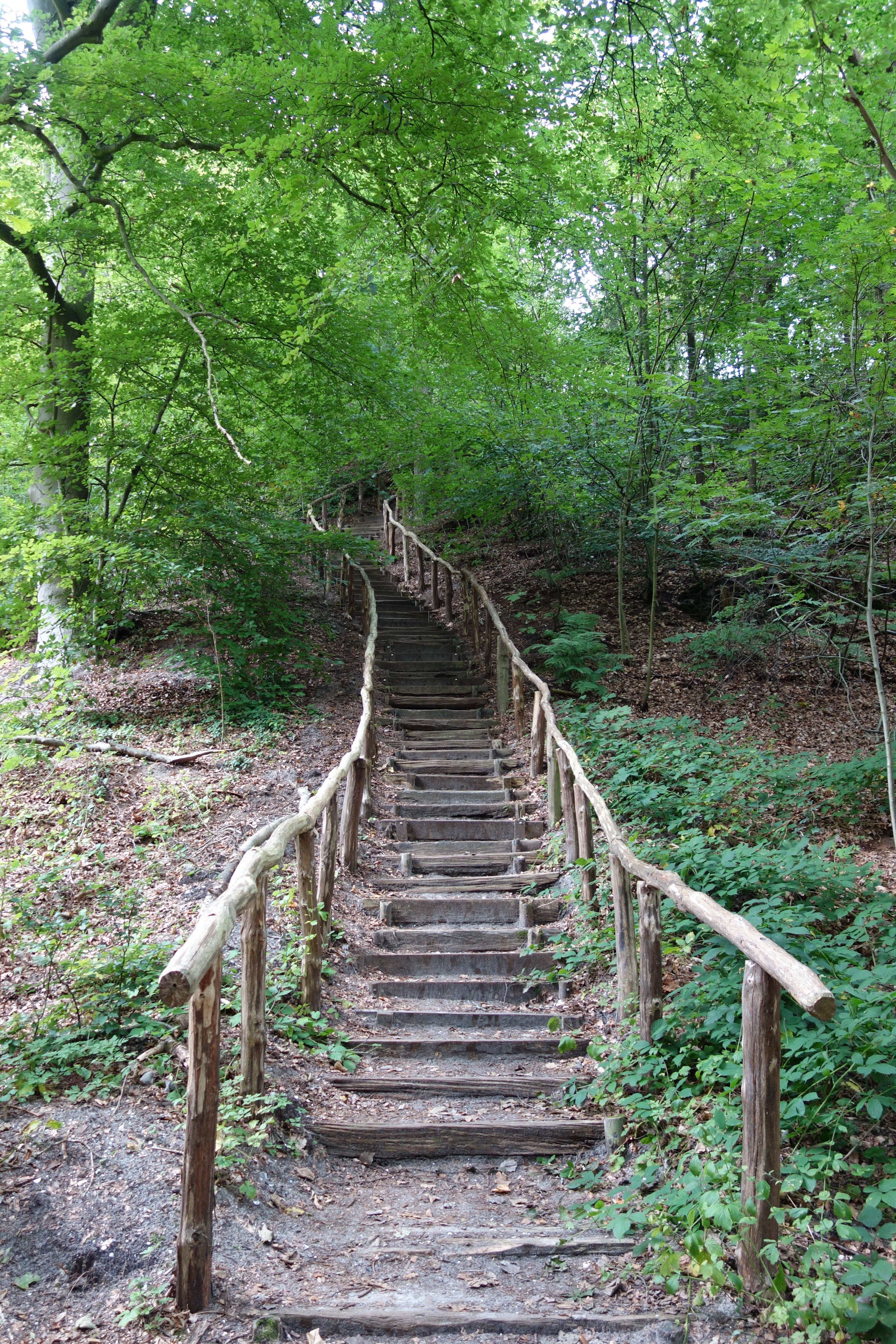 - image: 27