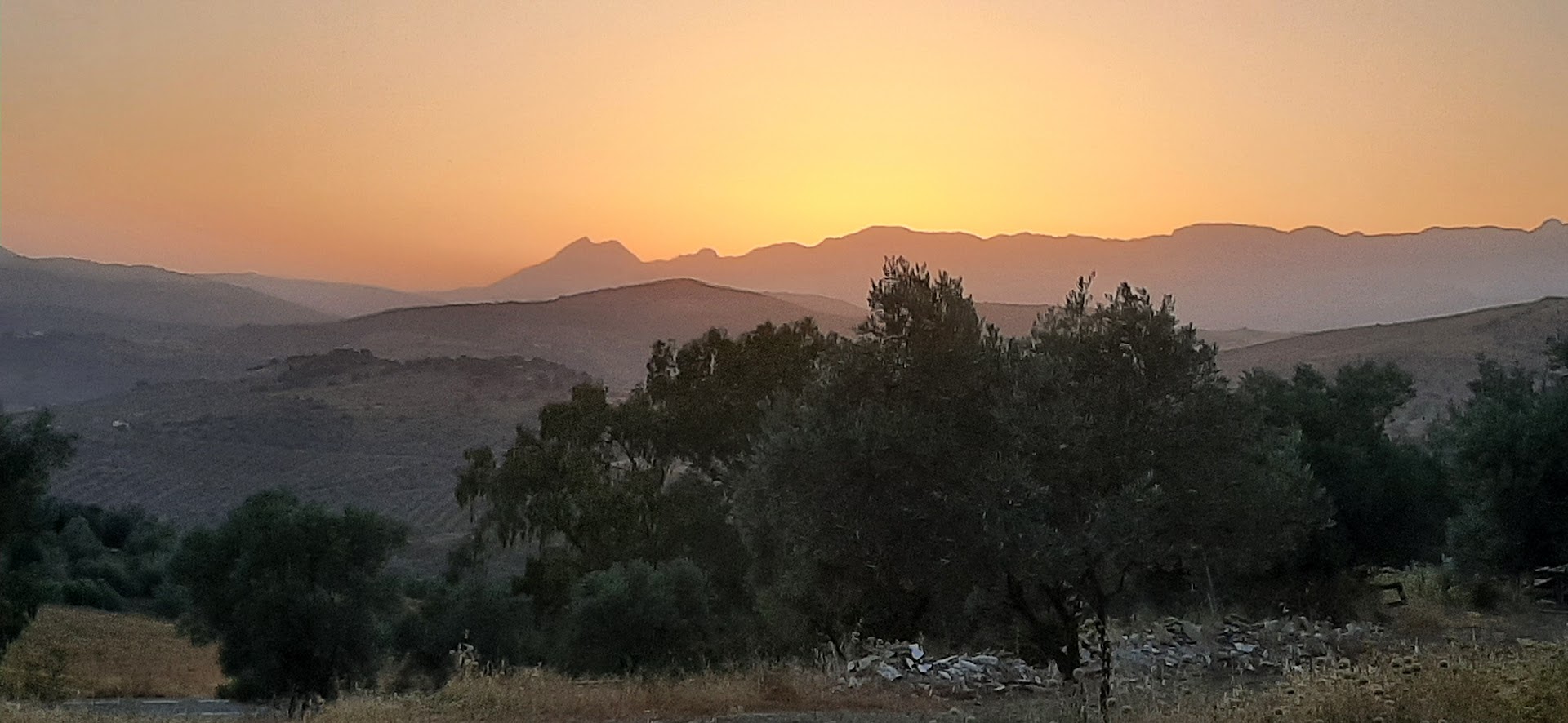 - image: 25