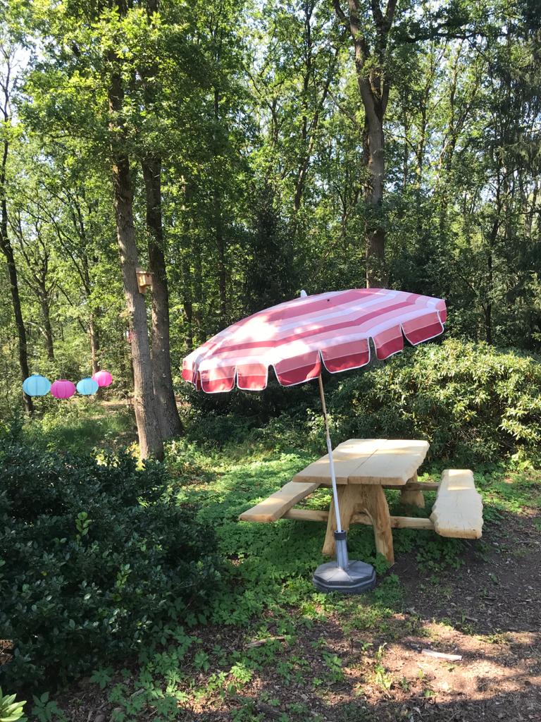 Natuurhuisje in Haarle