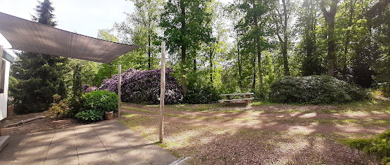 Natuurhuisje in Haarle