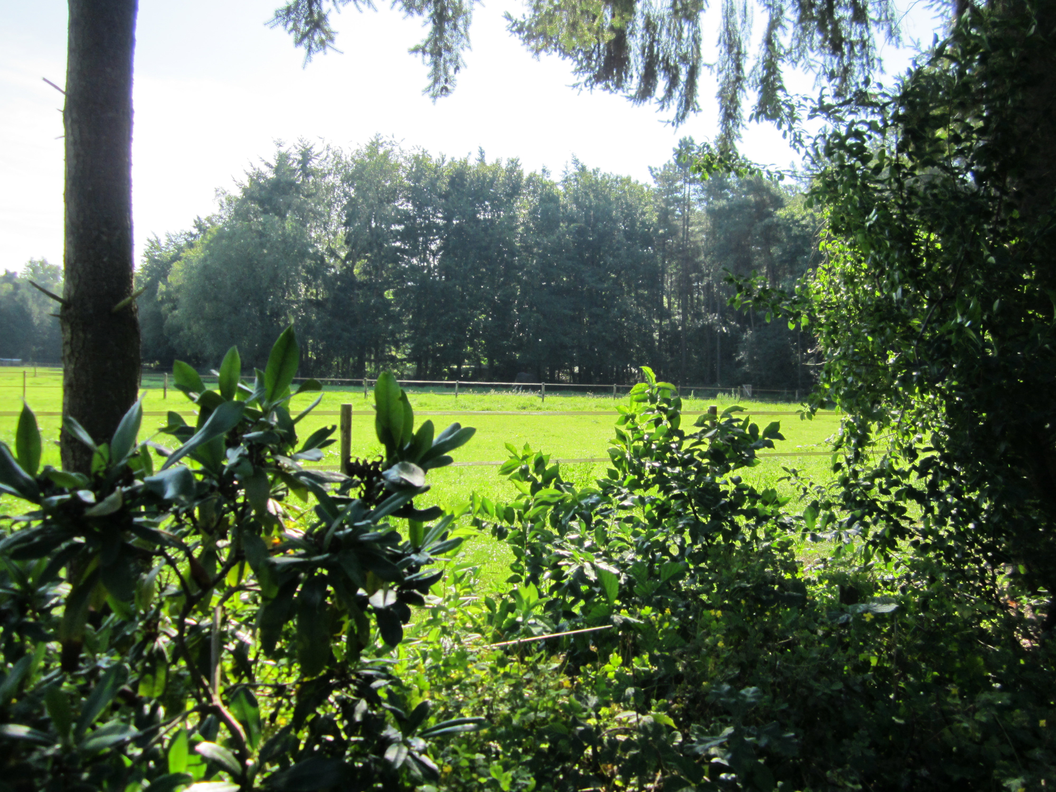 Naturhäuschen in Putten
