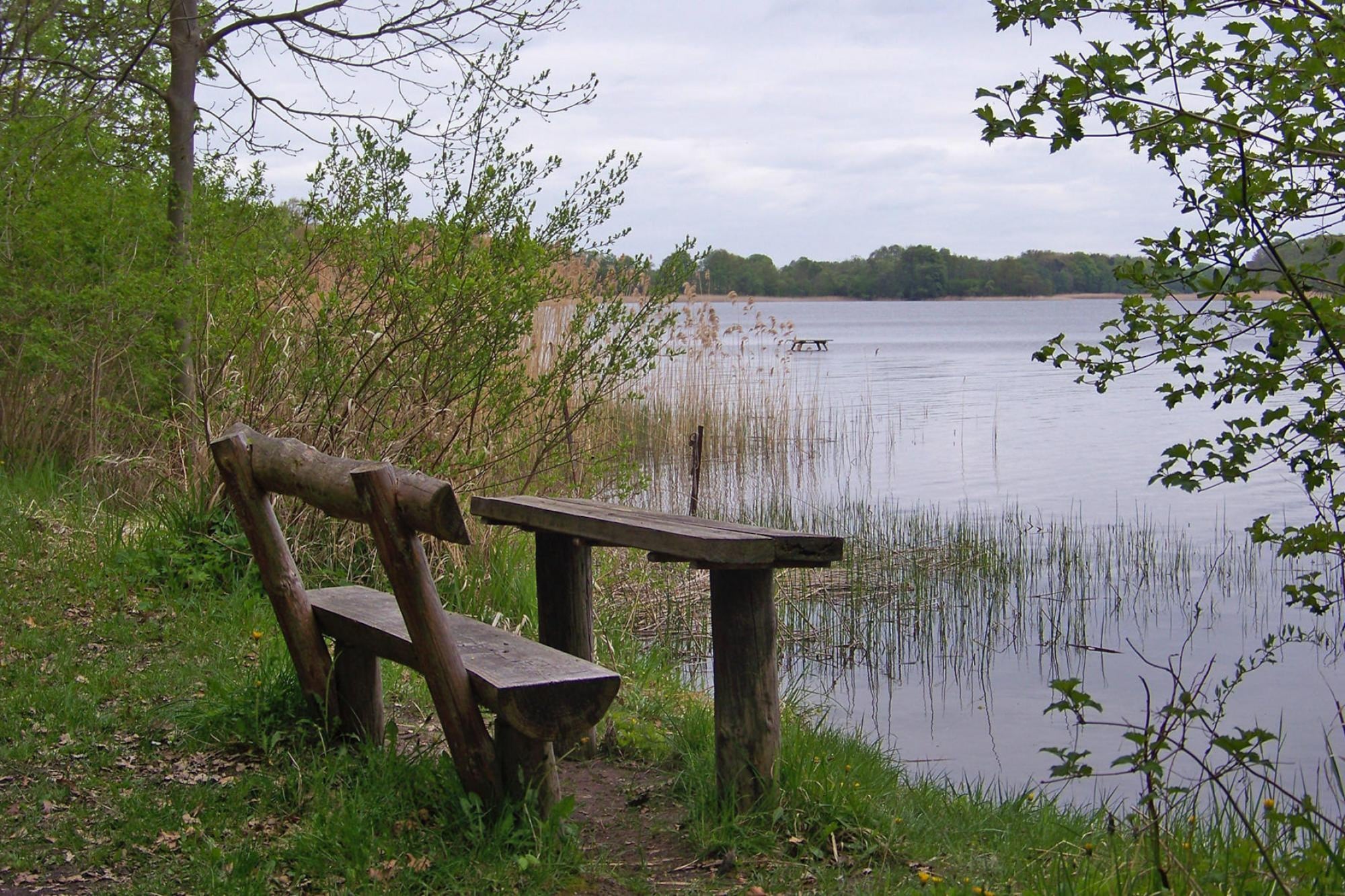- image: 24
