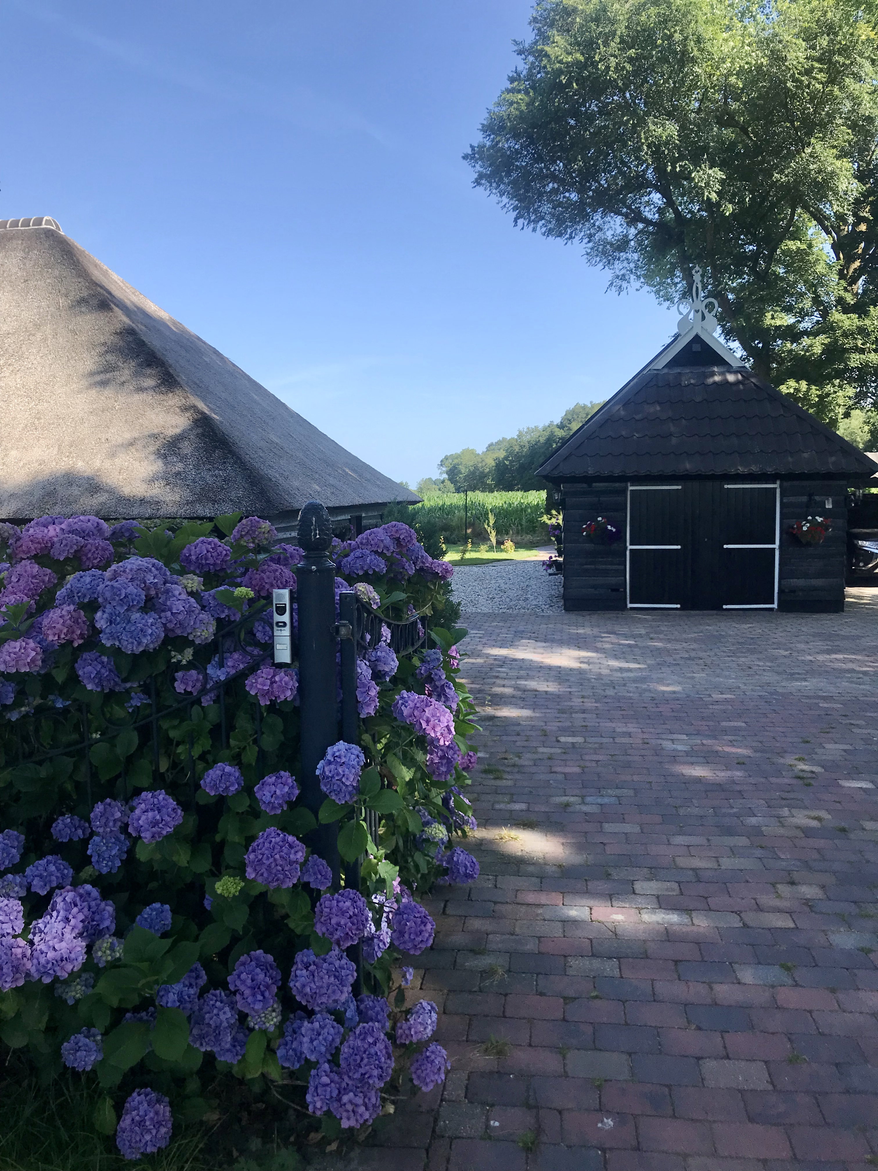 Casa nella natura a Paasloo
