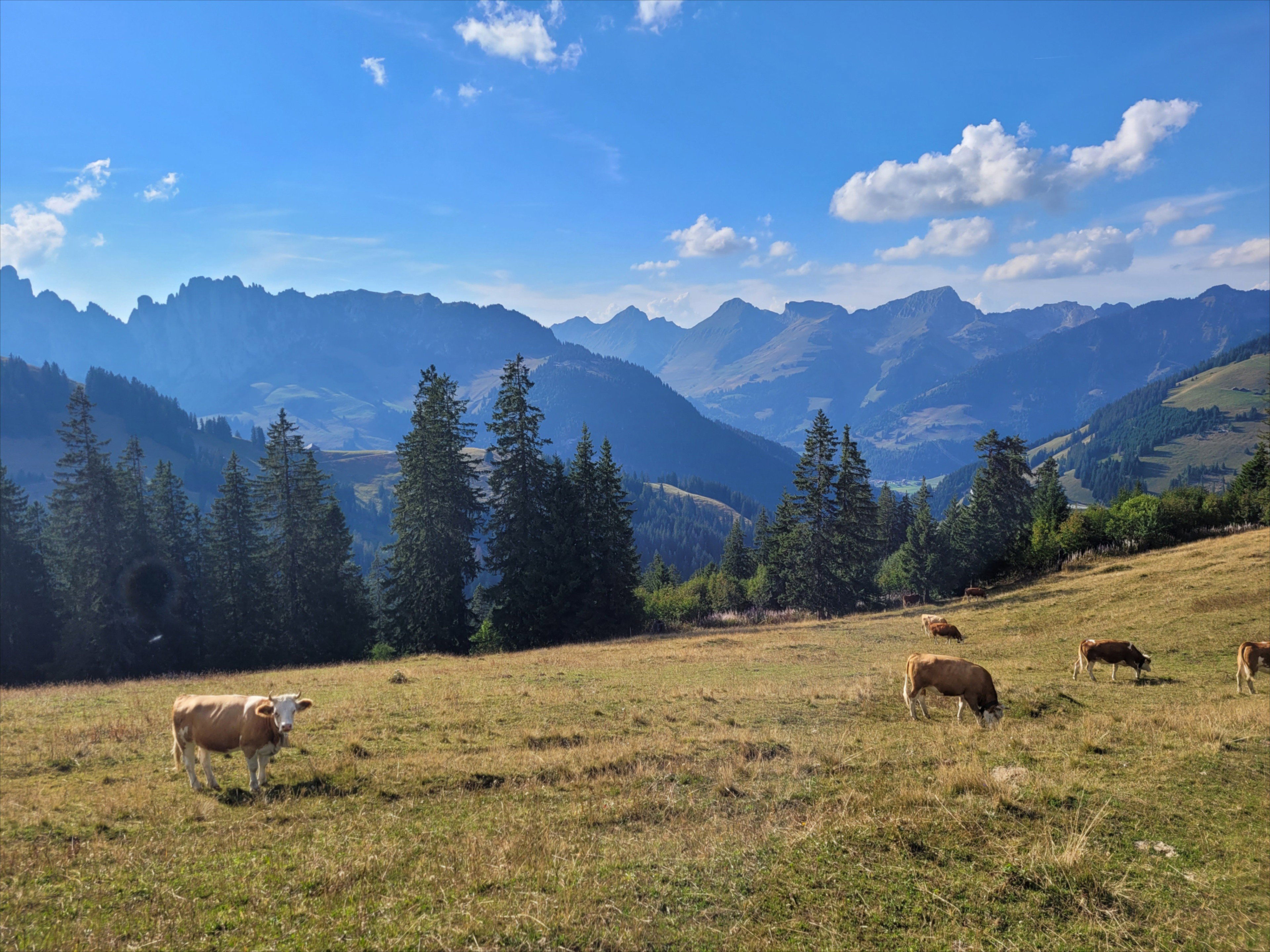 Natuurhuisje in Boltigen