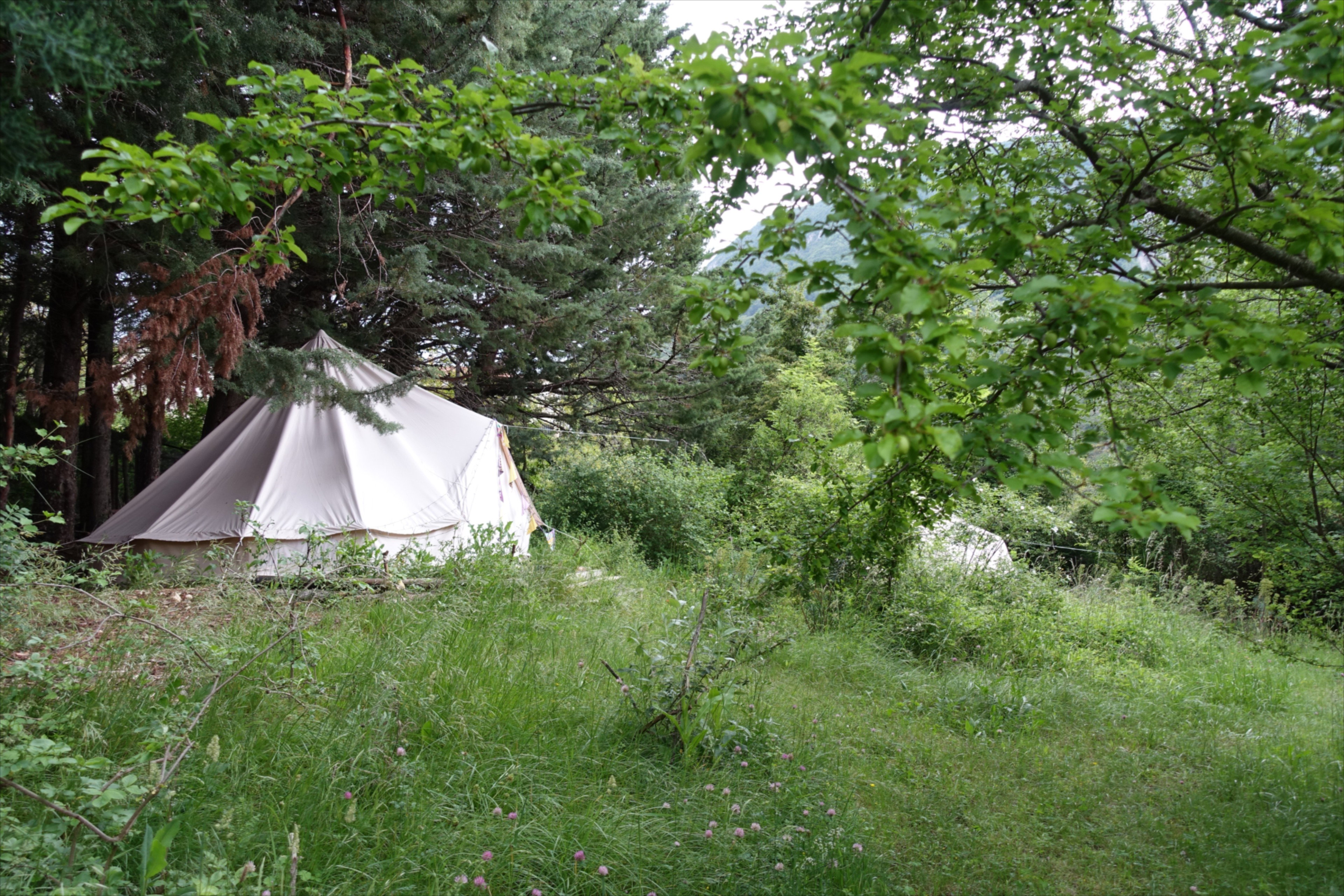 Natuurhuisje in Barret de Lioure