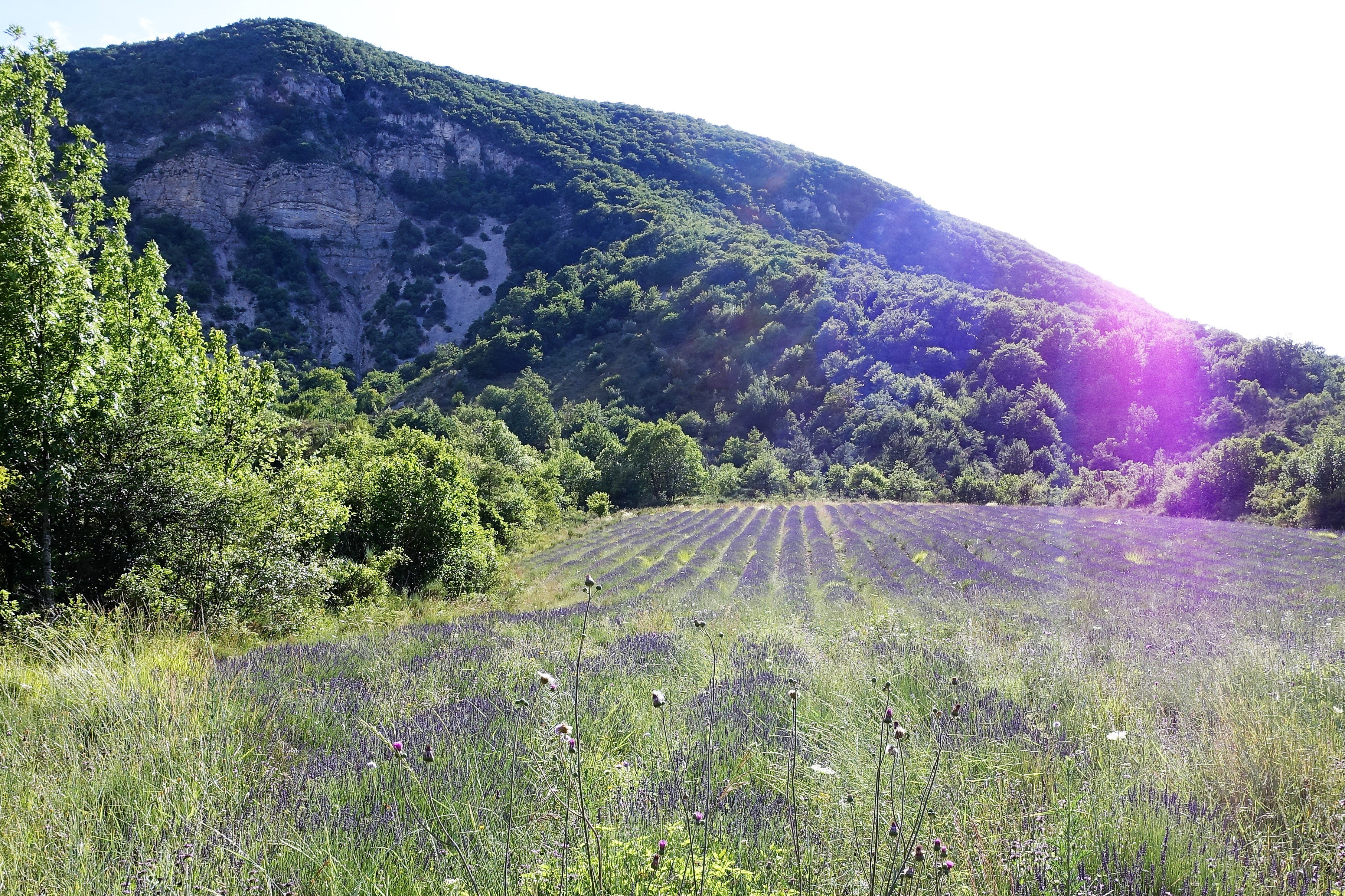 - image: 22