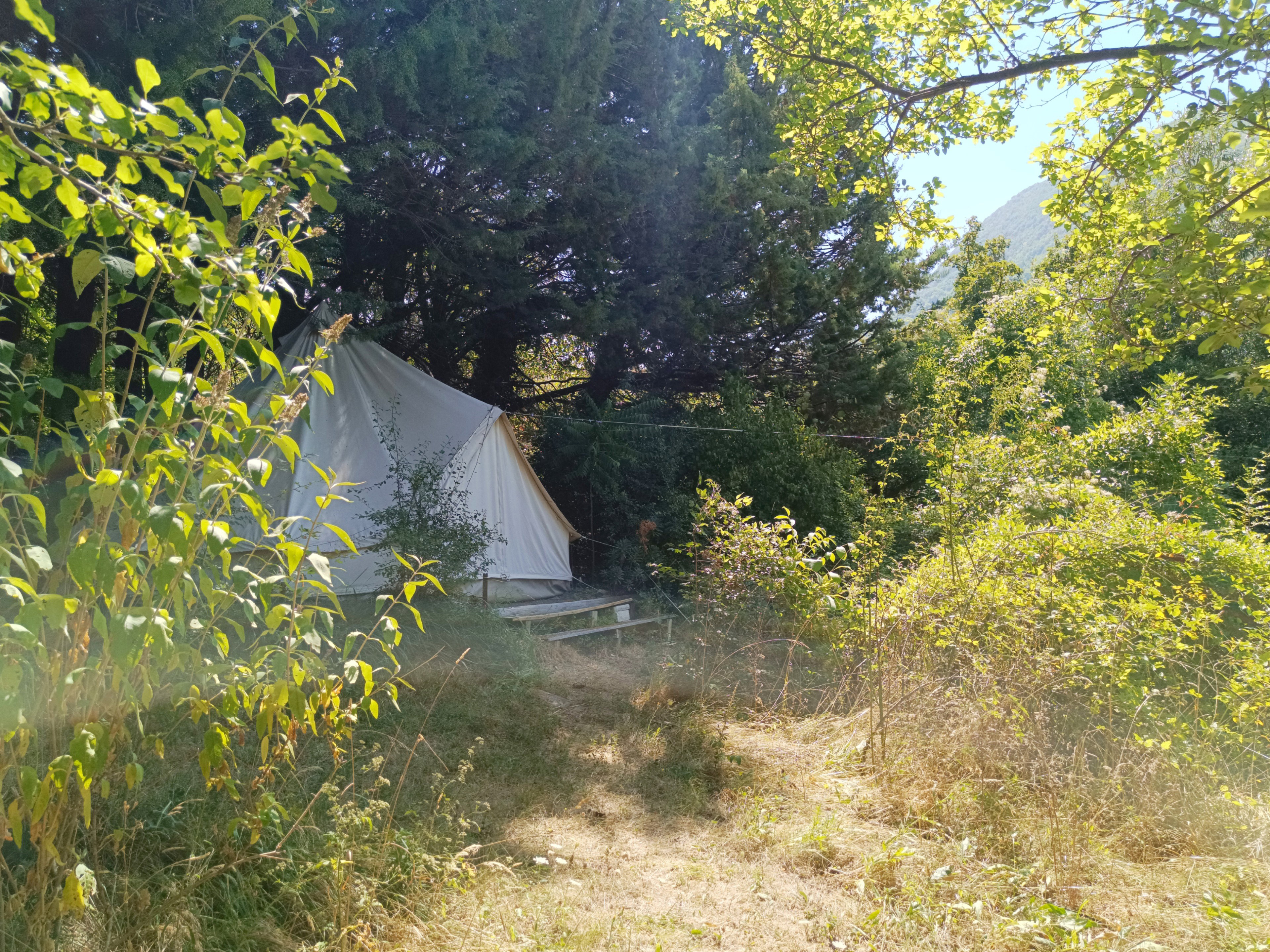 - image: 1