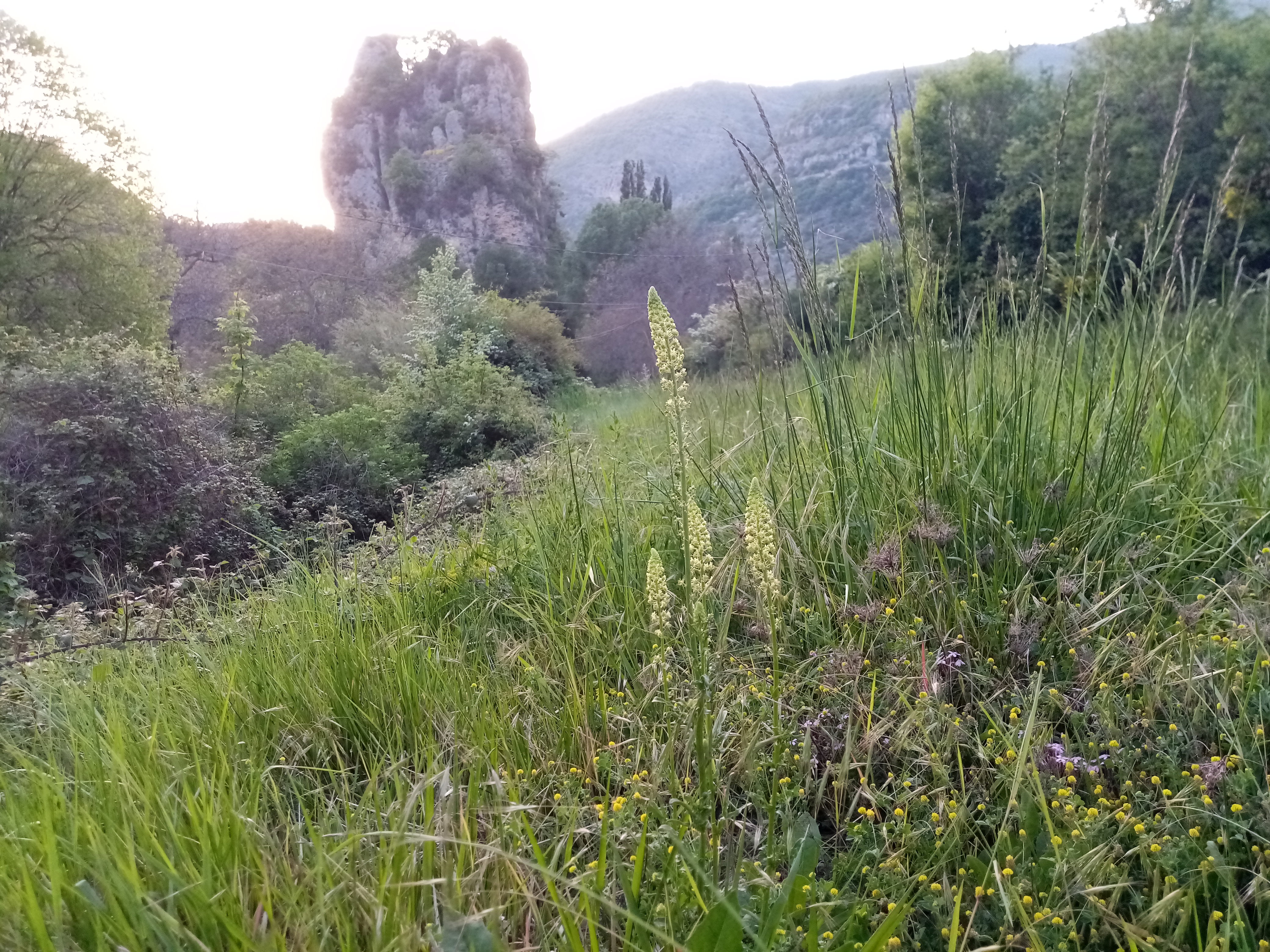 - image: 27