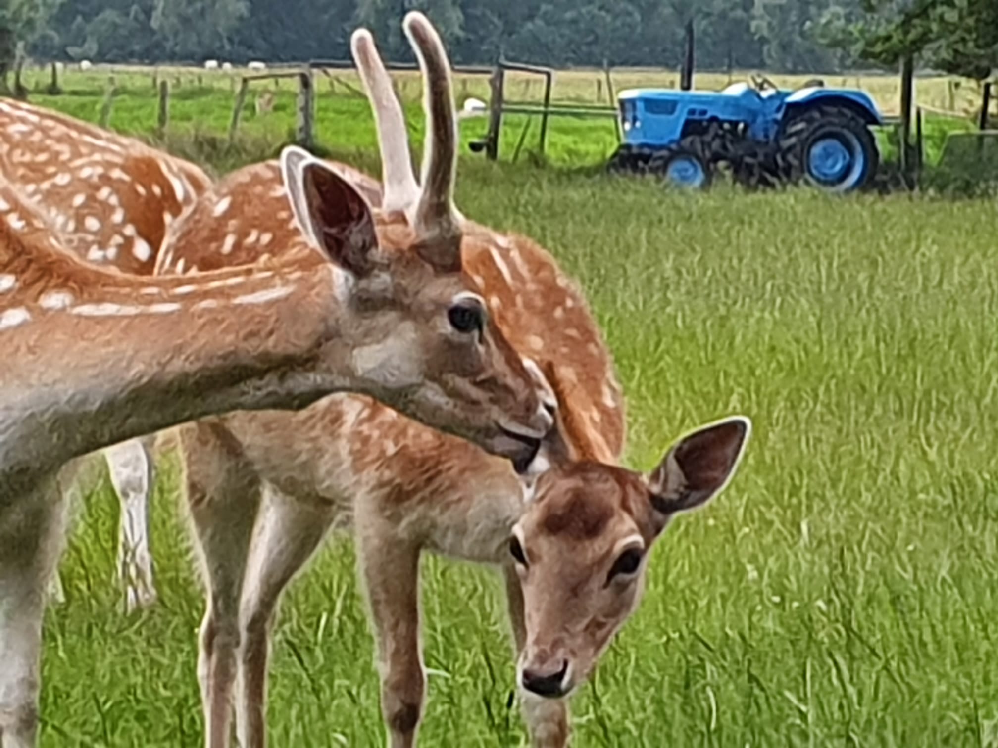 Natuurhuisje in Eemnes