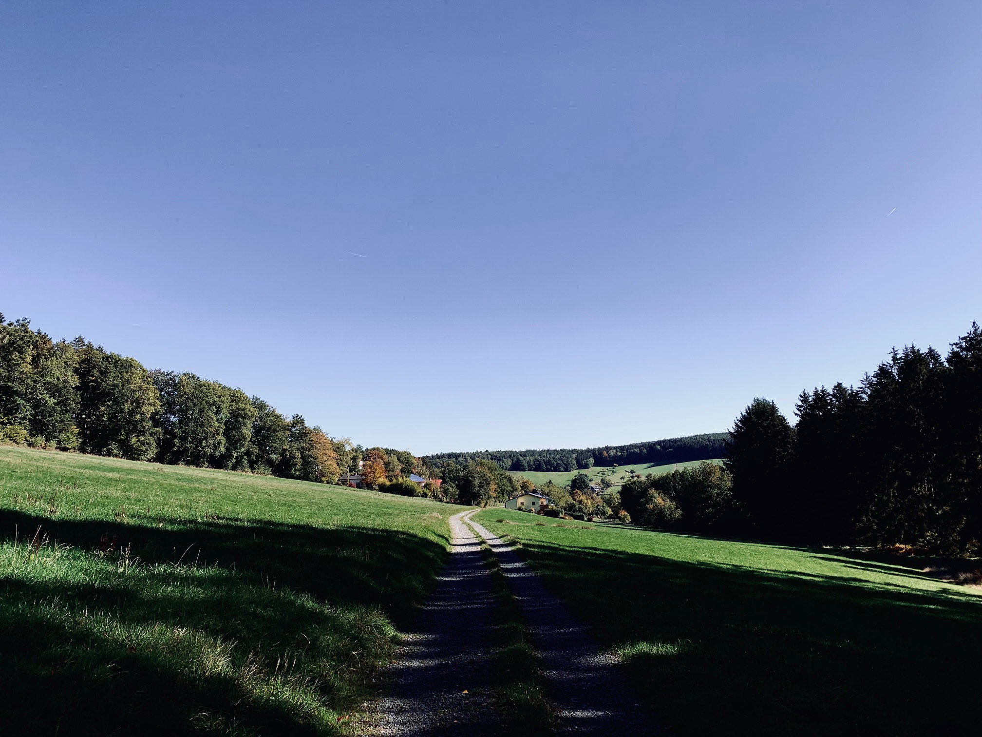 - image: 84