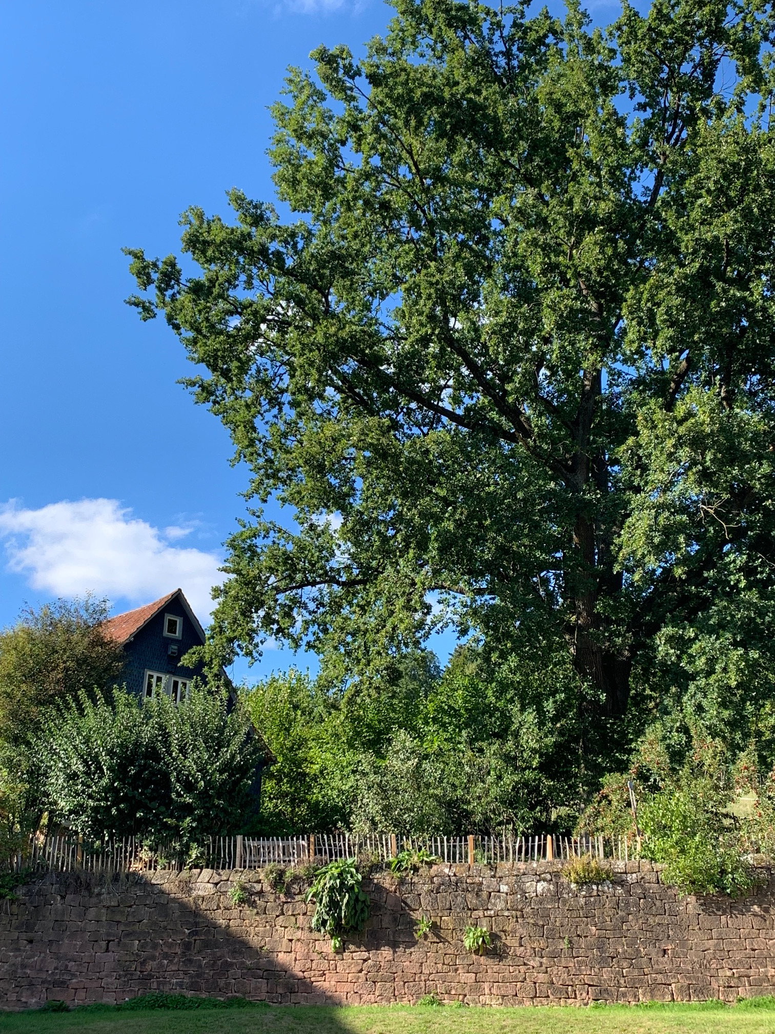 Natuurhuisje in Güttersbach