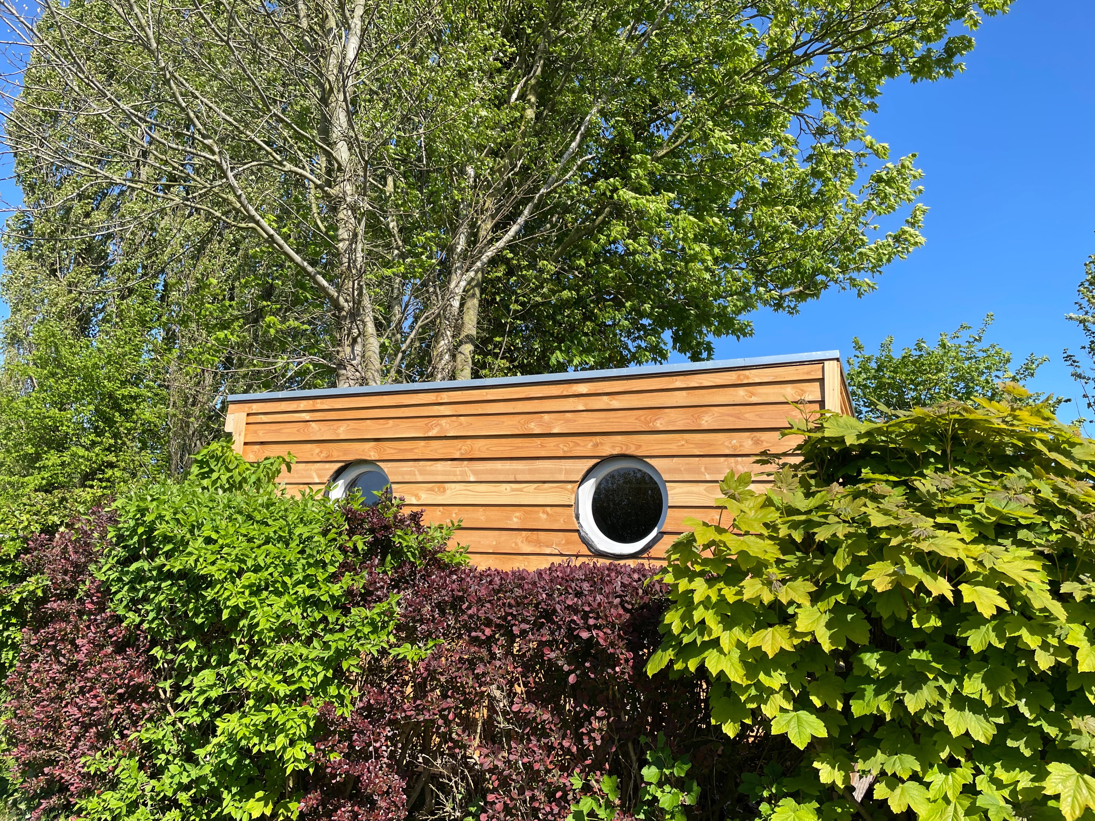 Natuurhuisje in Warfhuizen