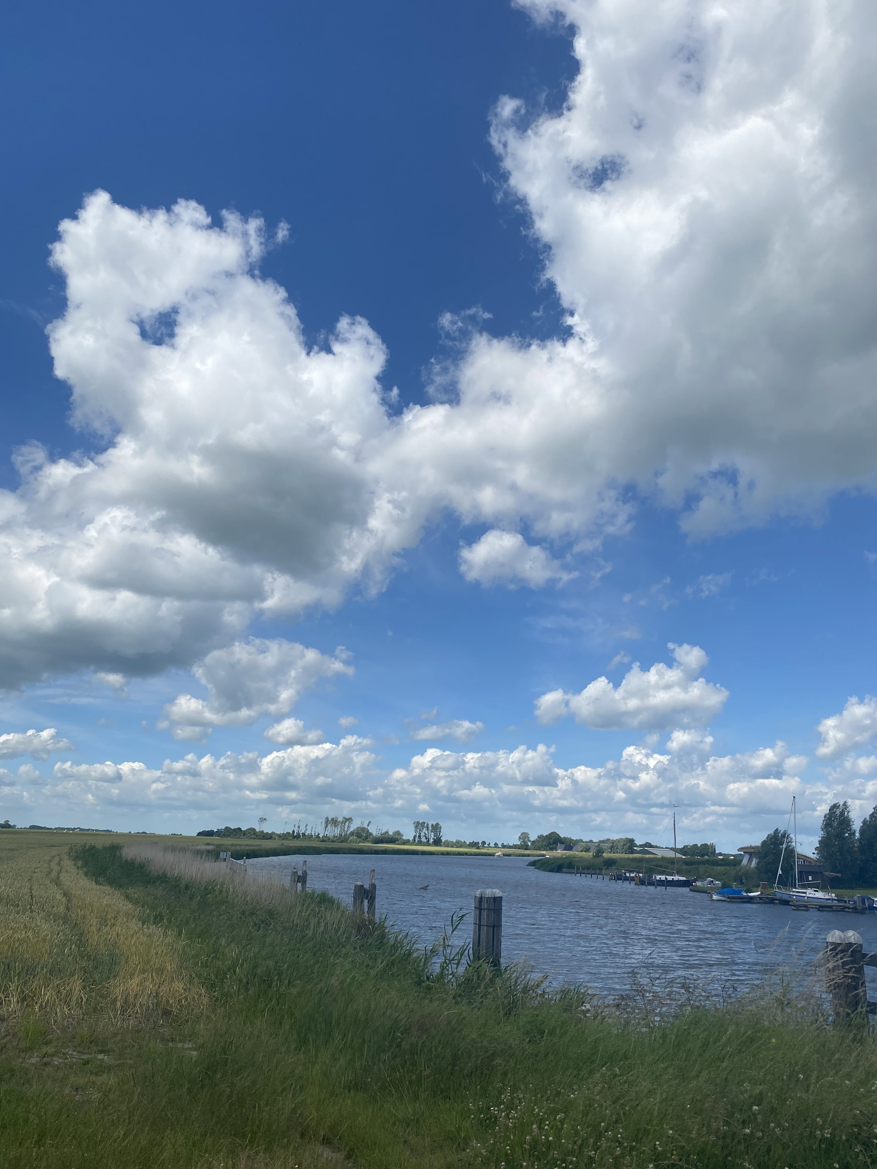 Naturhäuschen in Warfhuizen