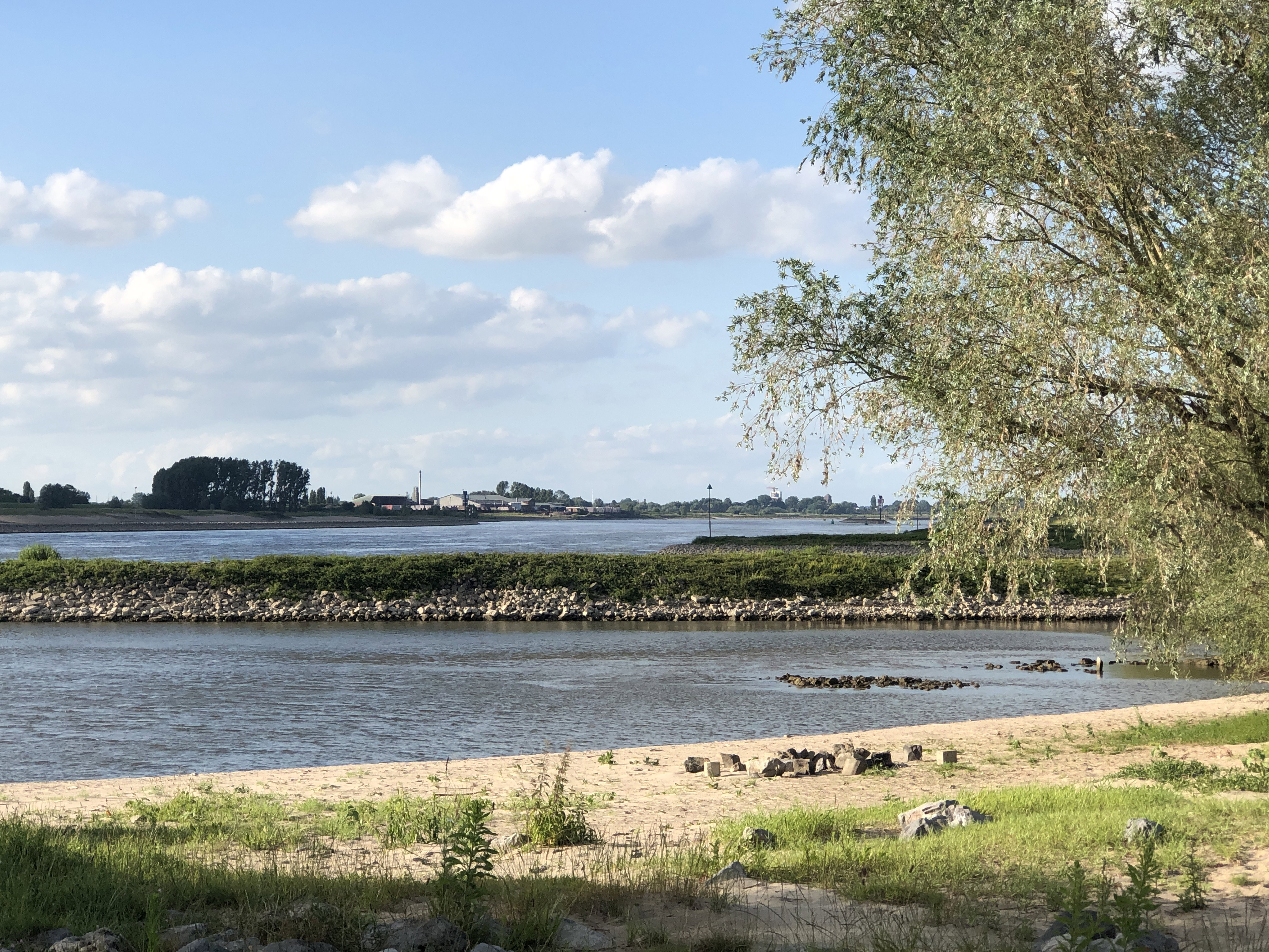 - image: 11