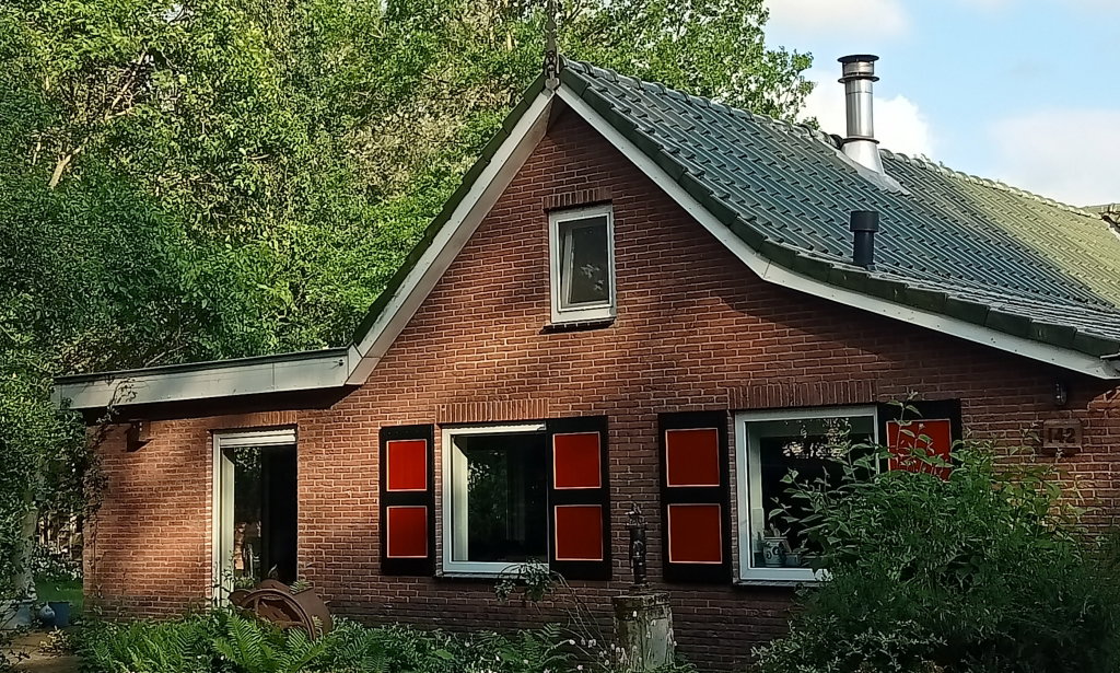 - image: 1