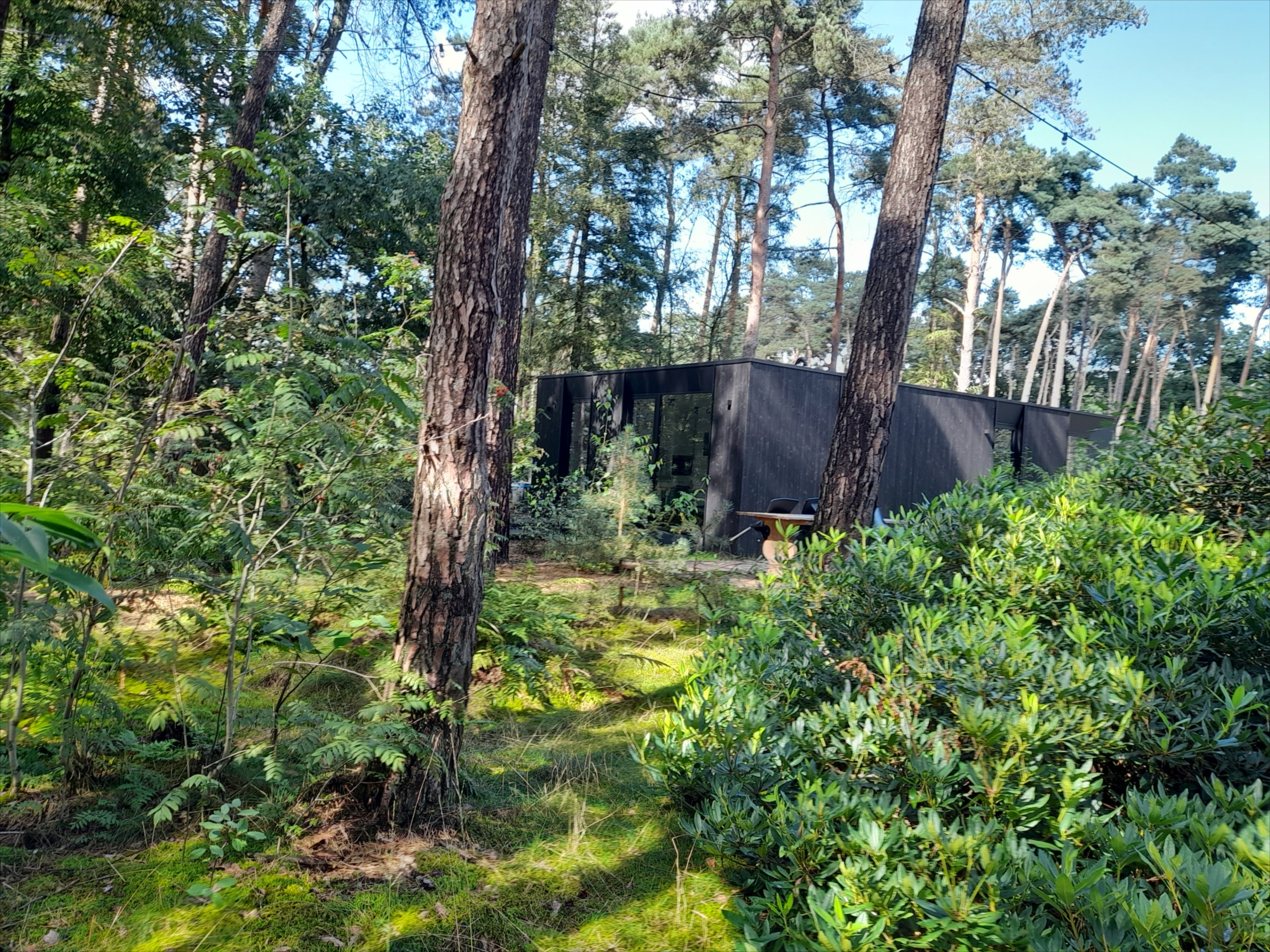 Casa nella natura a Lille