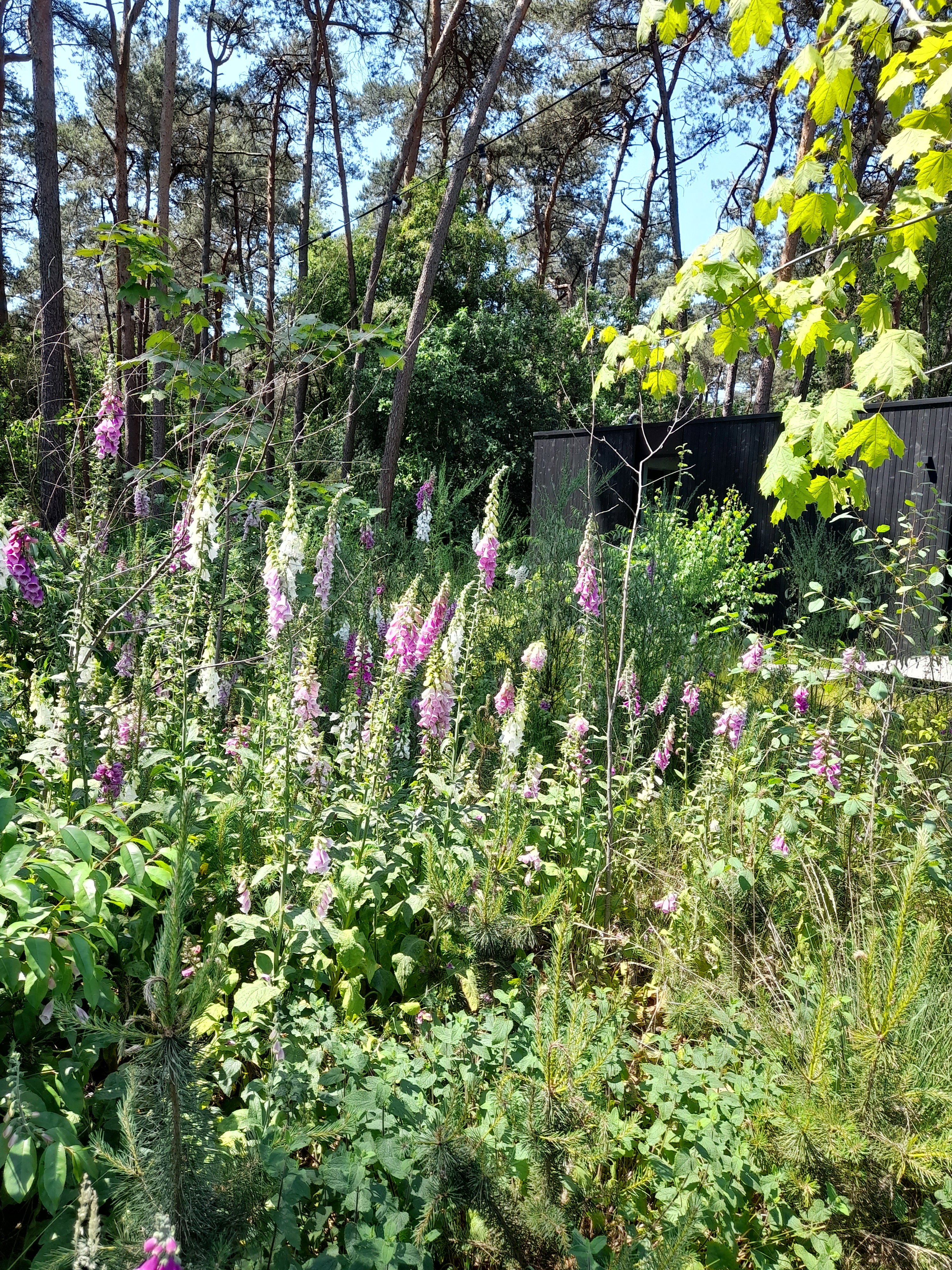 Casa nella natura a Lille