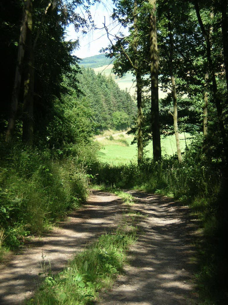 - image: 15