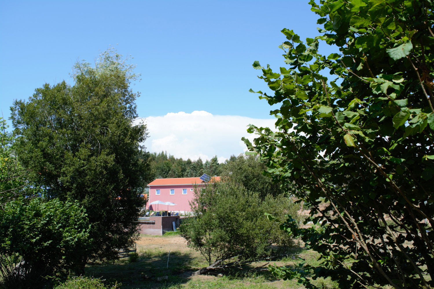 - image: 26