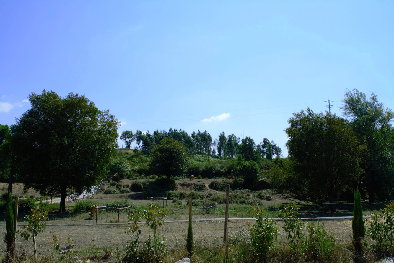 - image: 16