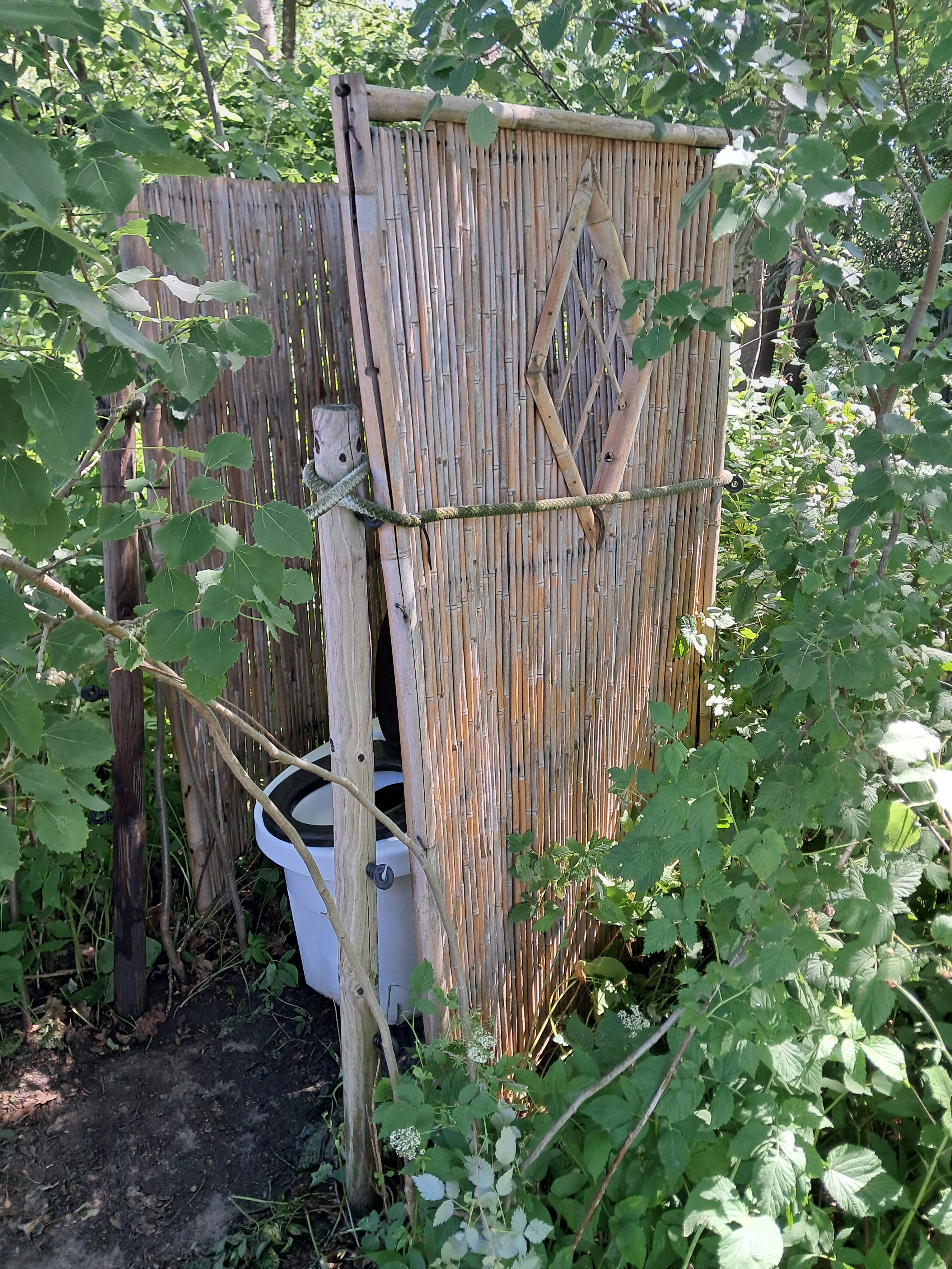 - image: 85
