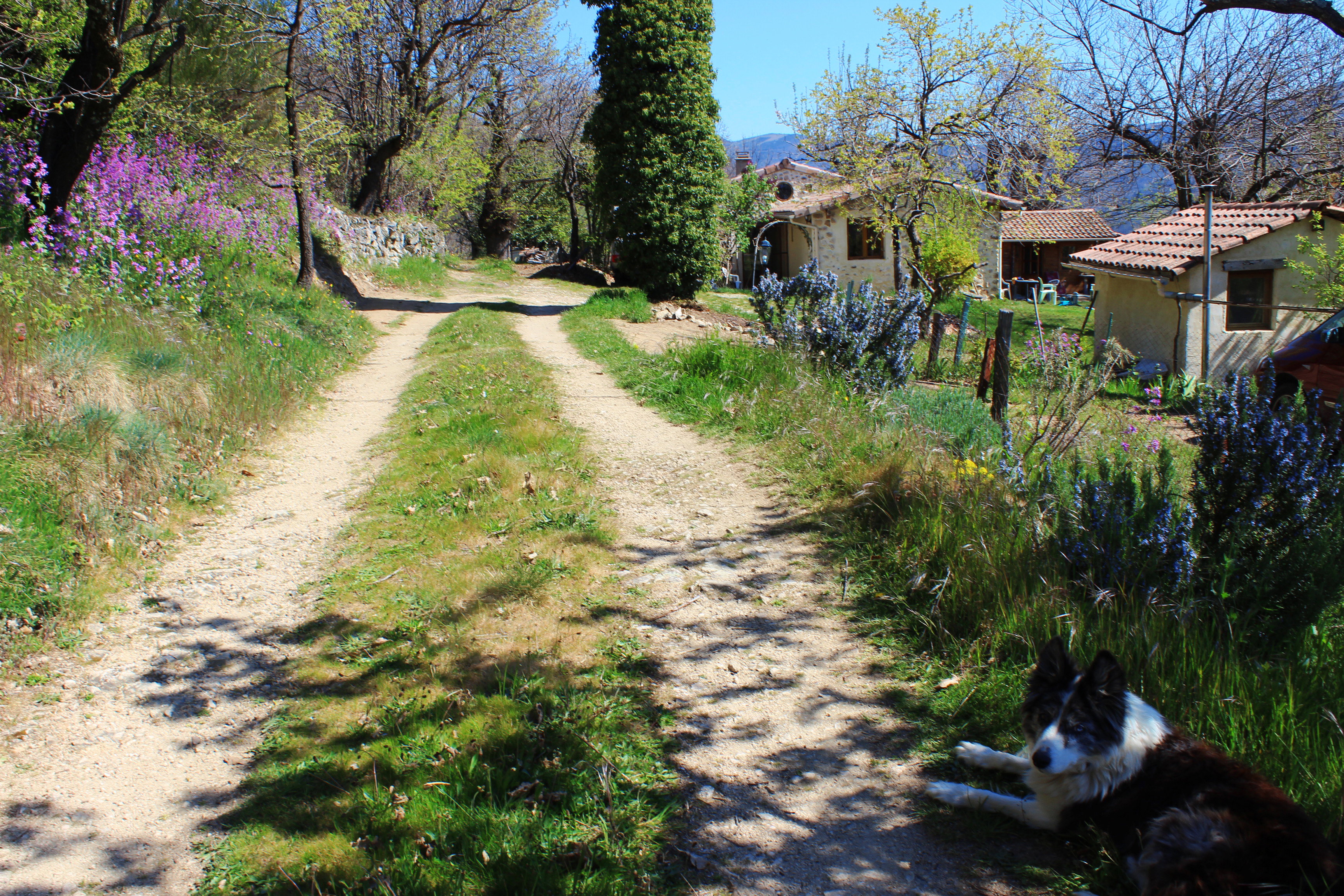 Natuurhuisje in Saint Andéol de vals