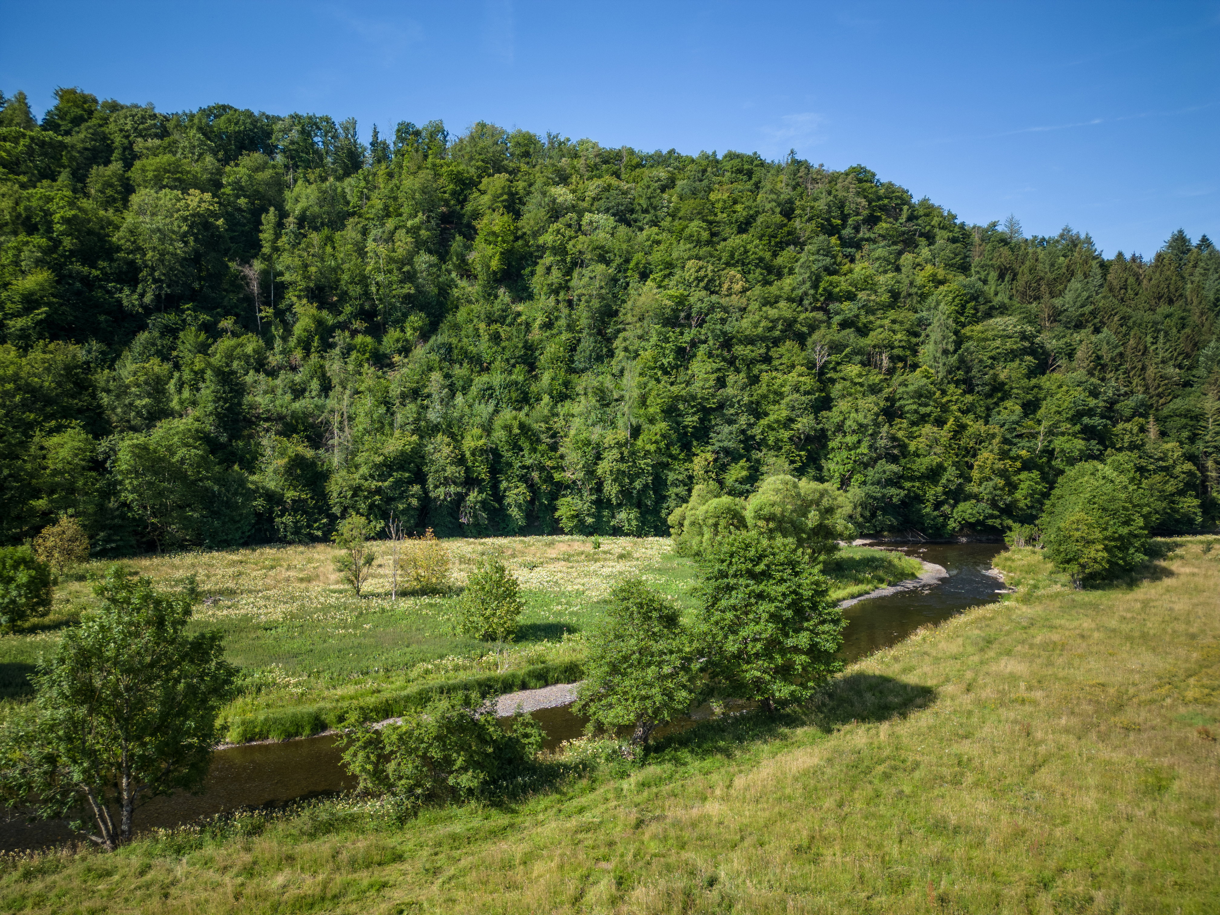 Casa nella natura a La roche-en-ardenne