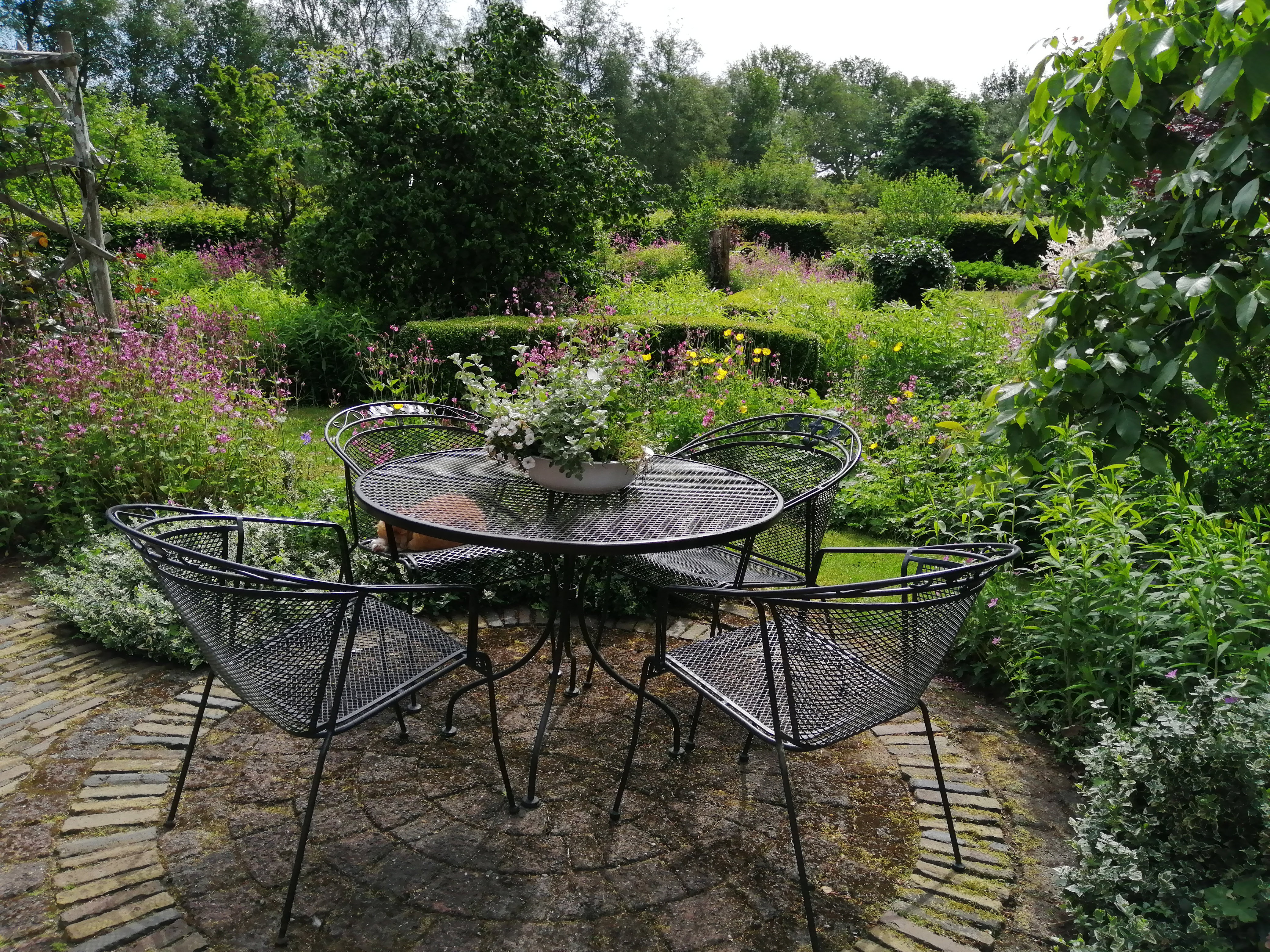 Natuurhuisje in Wapse